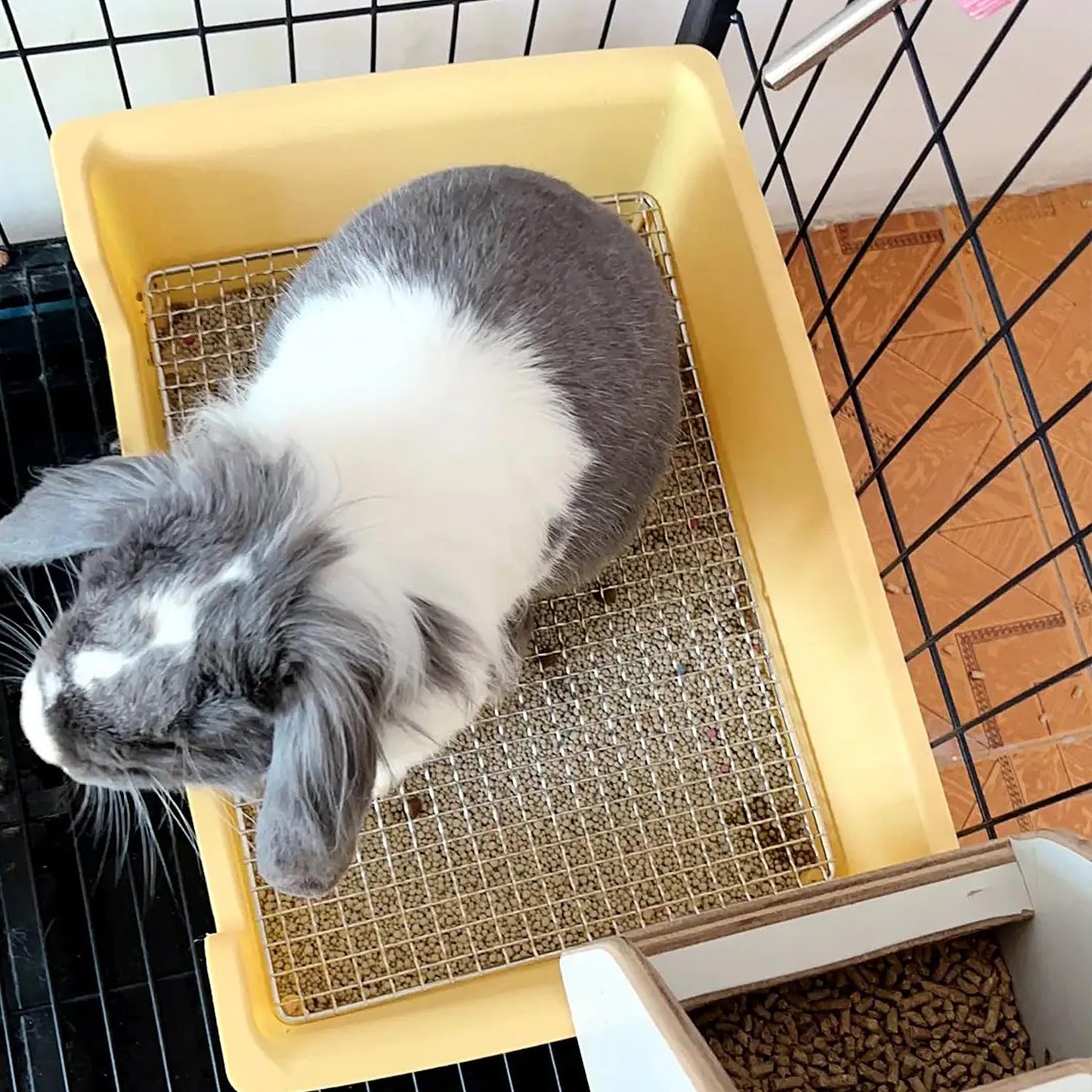PODOO Steel Grids Rabbit Litter Box - Bunny Litter Pan Training Box, 15x11x4.7 inches, 1cm Holes Steel Mesh for Small Animals, Orange (White)