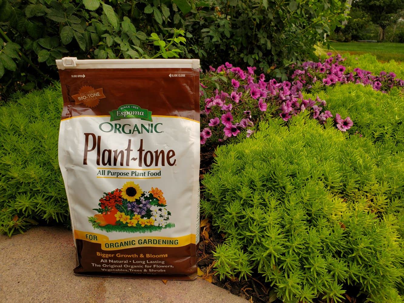 Espoma Co. PT4 4-Pound Plant-Tone Organic 5-3-3 Food