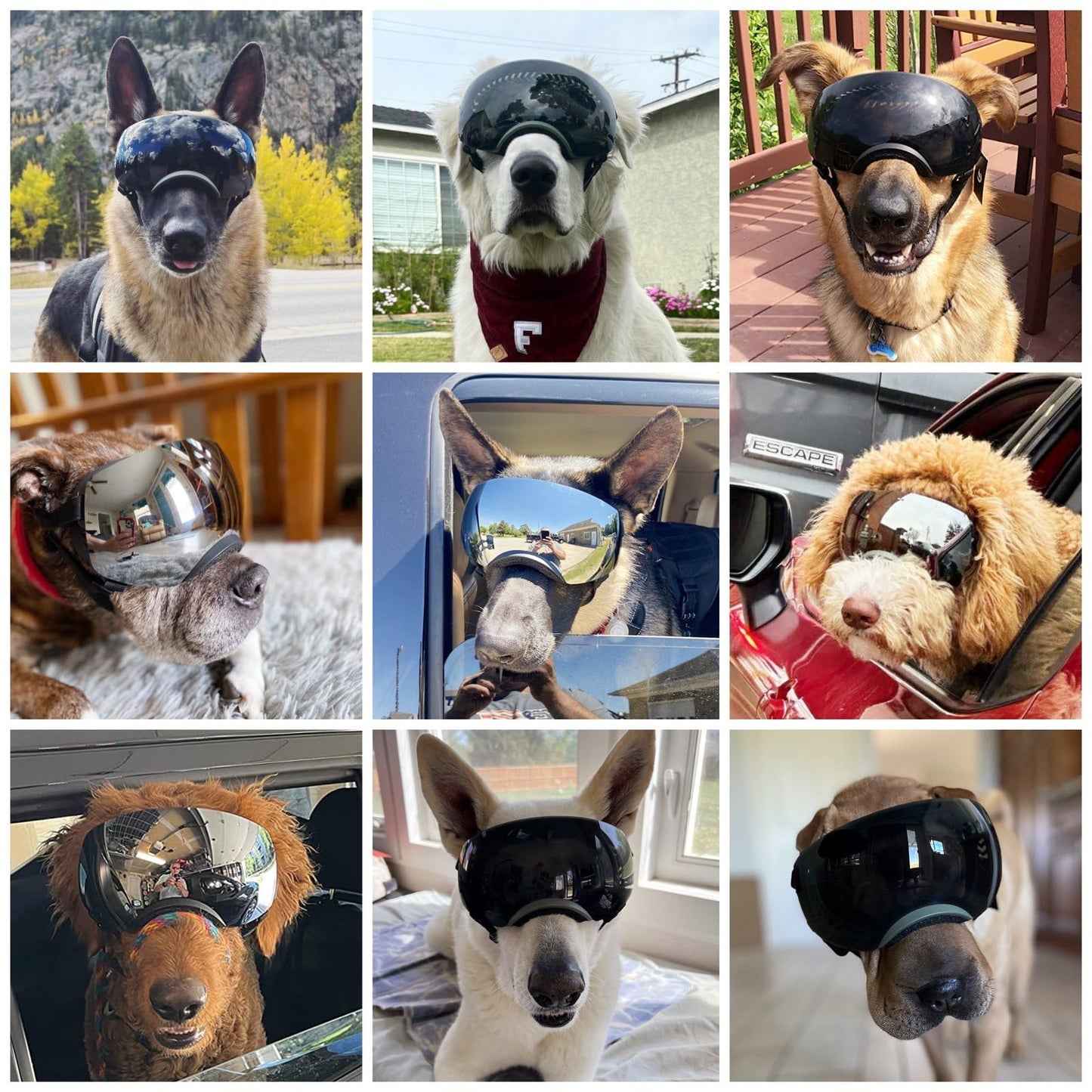 NAMSAN Dog Goggles for Large Dogs, Black/Silver Lenses Replaceable, Anti-UV Sunglasses for Dogs Medium to Large Breeds, Driving Dog Eye Protection, Windproof Dustproof, Adjustable, Black