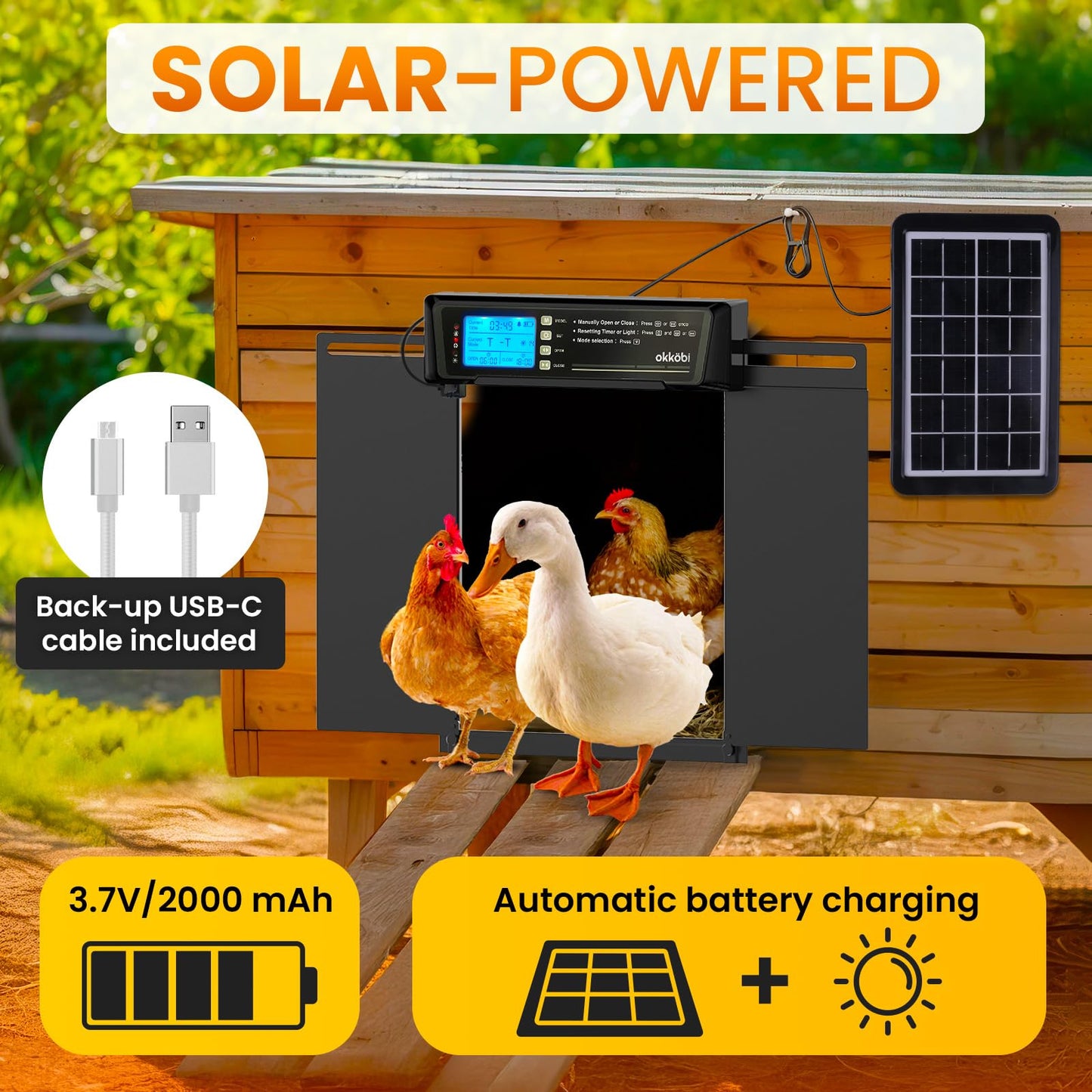 Extra Large Automatic Chicken Coop Door Solar Powered with Remote – LCD Display, Light Sensor, Timer & Anti-Pinch Function – 28.7 cm x 22.1 cm Door Opening – 5-Year Protection – Black – by Okköbi