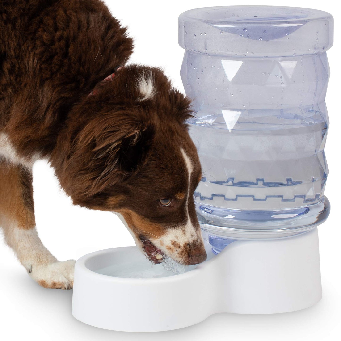 PetFusion H2O Gravity Pet Water Dispenser. Durable 2.5 Gallon Water Feeder. Automatic Water Station for Cats & Small, Medium, Large Dogs, Transparent (PF-GW1)