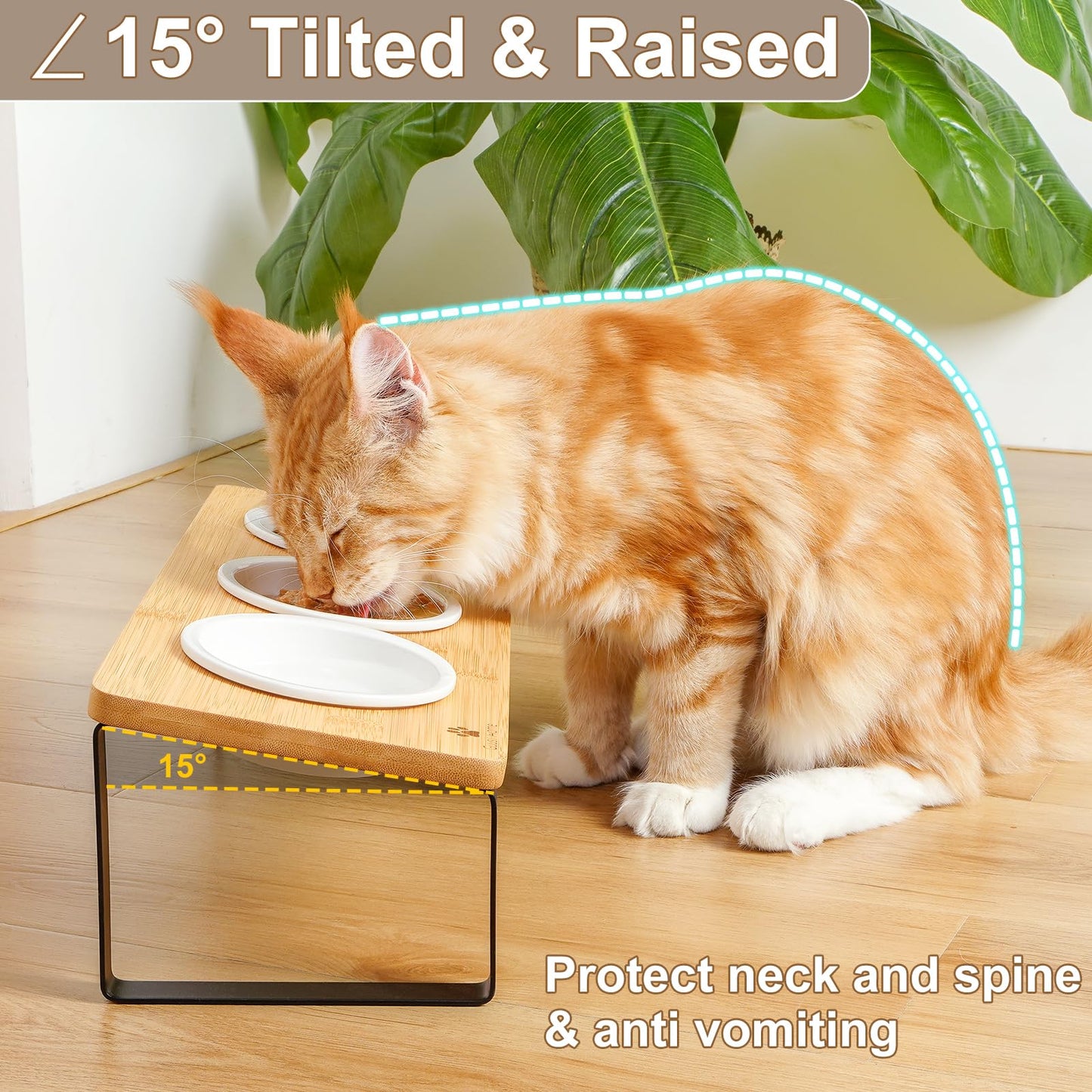 Sunhoo Elevated Cat Food Bowl Raised Kitty Dish Ceramic Tilted Pet Bowls Set of 3 Indoor Cats Dishes Dia 4.7in/12cm Anti Vomiting with Natural Bamboo Stand Gamelle Pour Chat