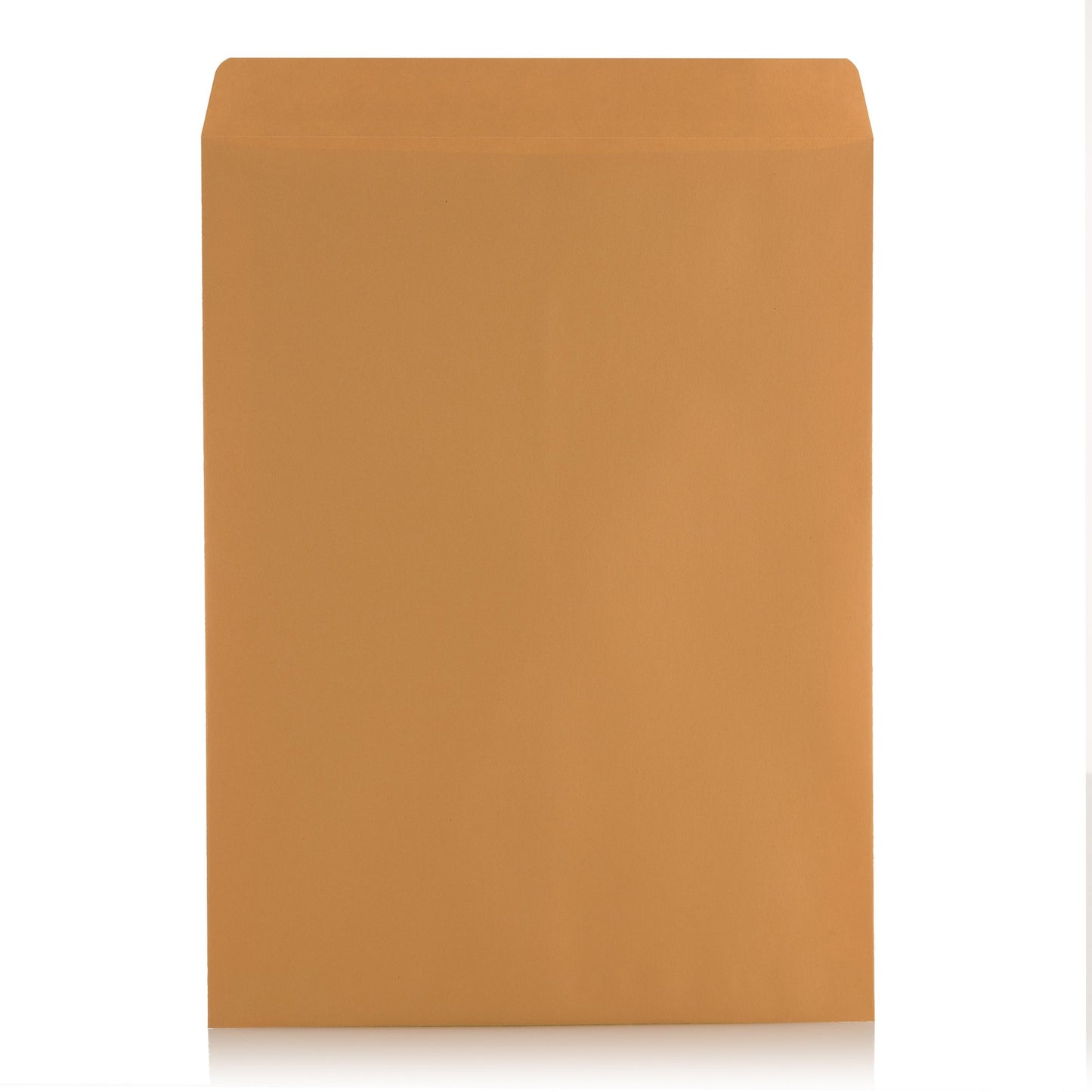 9 X 12 Self-Seal Brown Kraft Catalog Envelopes - 28lb - 100 Count (38300)