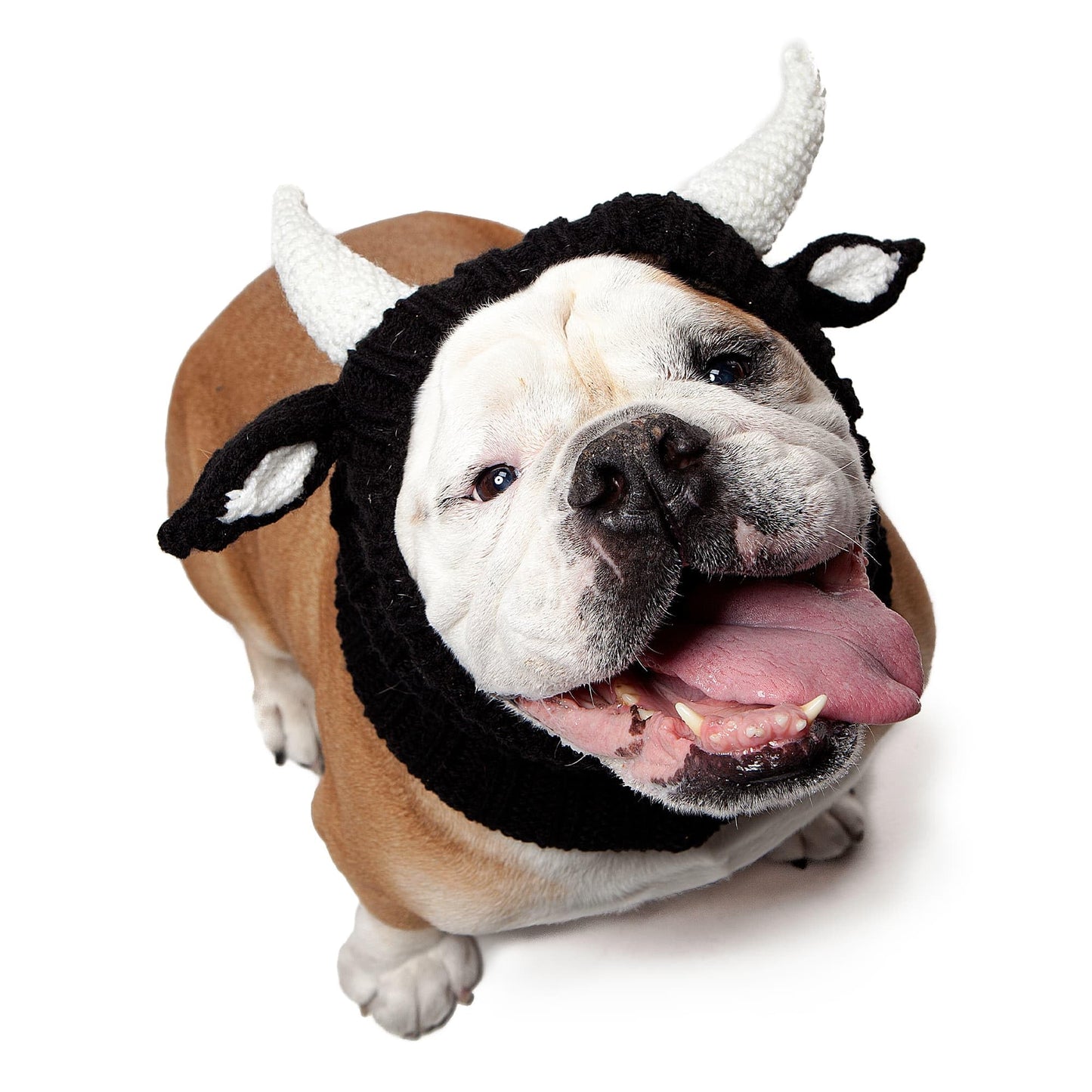 Zoo Snoods The Original Knit Bull Dog Snood, Large, Black