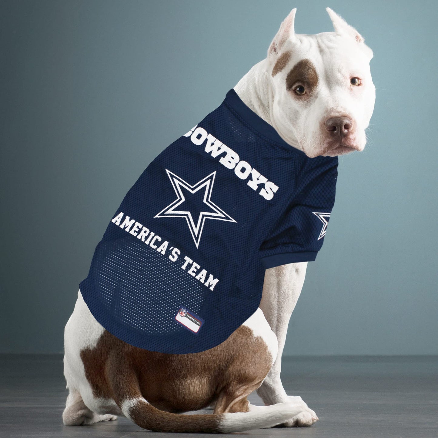 Pets First NFL Dallas Cowboys Raglan Jersey America's Team - Medium. Cutest Football Jersey for Dogs & Cats