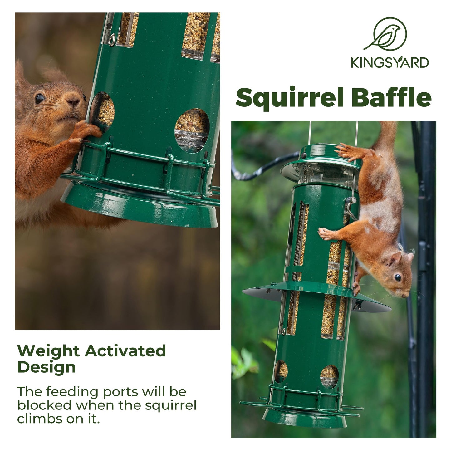 Kingsyard Squirrel Proof Bird Feeder with Removable Base, All Metal, Tube Bird Feeders for Outdoors Hanging, Easy to Clean & Refill, Dark Green