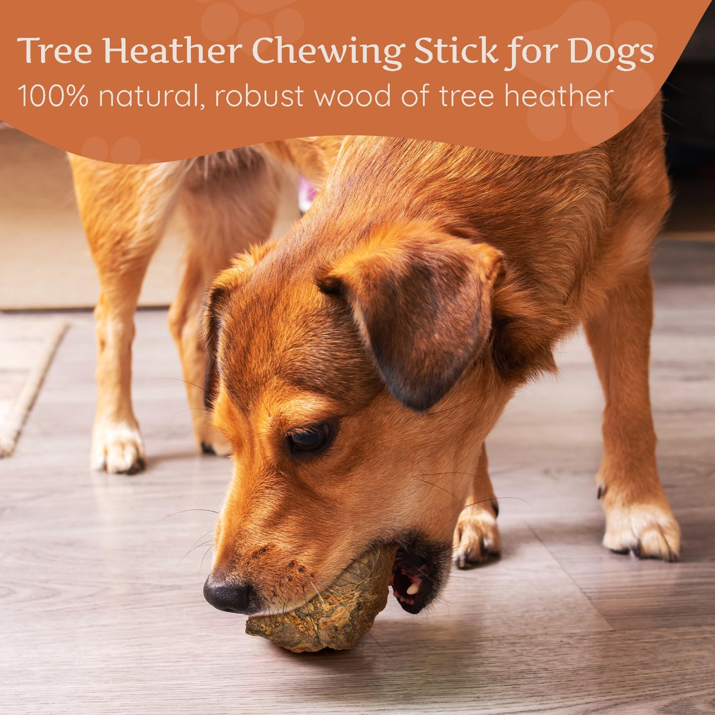 Wildfang® Tree Heather Root for Dogs, L – Splinter-Free Chewing Root, Natural Wood Chew Toy for Aggressive Chewers, Odourless Dog Chew Toy for Healthy Teeth & Gums (for Dogs 25–45 kg), Pack of 3