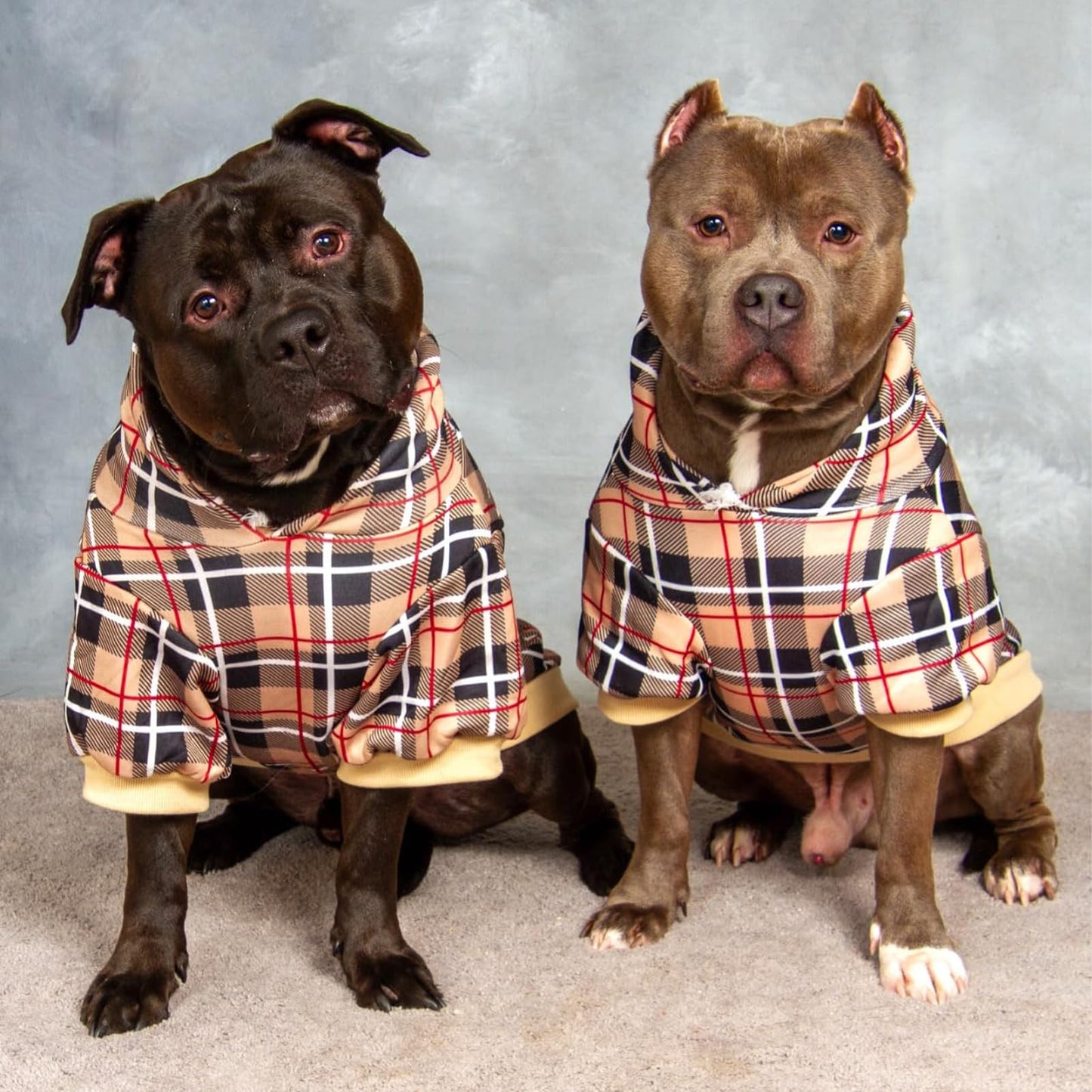 EXPAWLORER Plaid Dog Hoodie - British Style Warm Dog Sweater Shirt with Leash Hole,Pitbull Clothes Outfits,Winter Coat Apparel for All Breeds Puppy Girl Boy-Cat Apparel,Beige XL-XXLarge