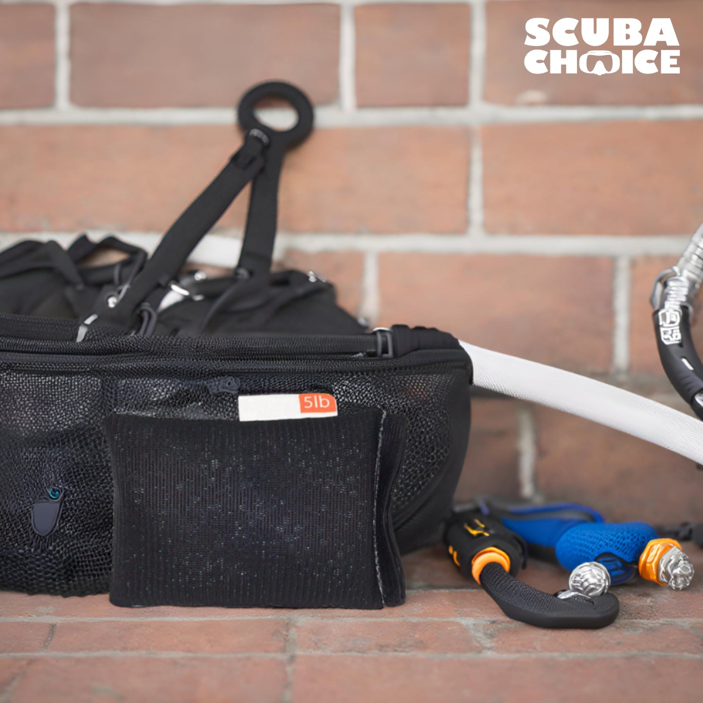 Scuba Choice Diving Soft Mesh Lead Shot Weight, 5lb (Made in USA), Black (SCLWS-05)