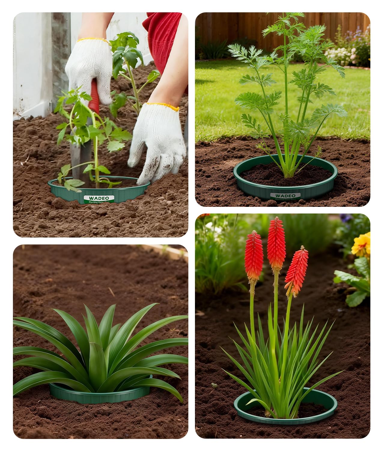 WADEO 17.78cm/7in Planting Grow Rings, 12 PCS Plant Rings for Outdoor Plants, Perfect for Deep Root Watering Veggies Herbs Vegetable and Flowers