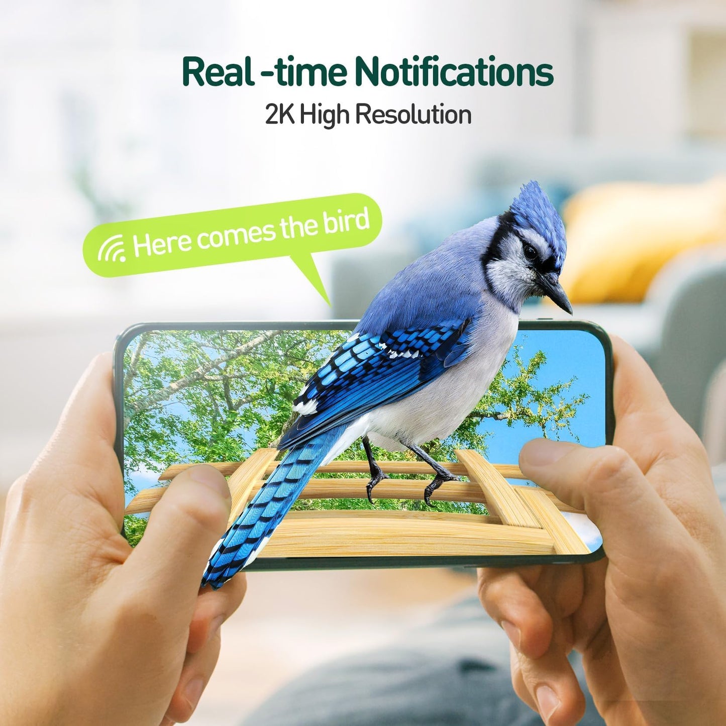 Camera Bird Feeder,Smart Bird Feeder with Camera,High-End Bamboo Birds Watching Cam,2K HD Came Solar Powered,AI Identify 16000+,Auto Capture Birds & Notify in Time, Ideal Gift for Backyard Birder