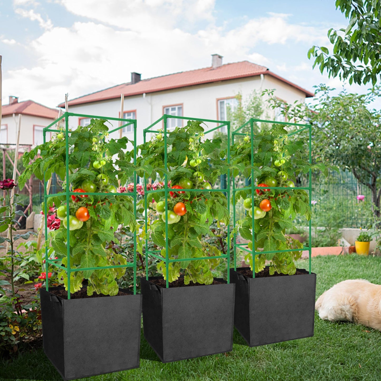 3 Packs 47 x 16 x 16 Inch Garden Tomato Cages with 17.7 Gallon Grow Bags- Square Plant Support Trellis Assembled with Felt Planter Bags- Garden Cucumber Vegetables Frames for Vertical Climbing Plants