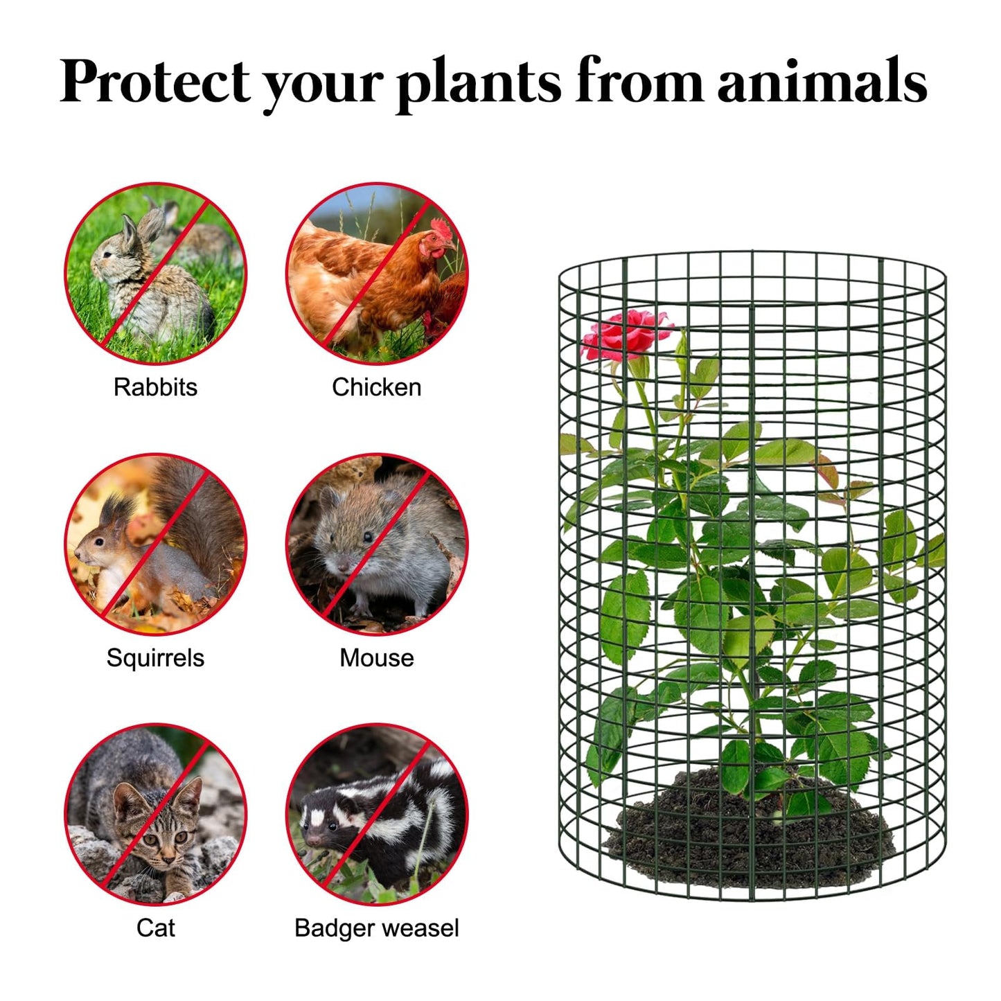 6 Pack 24'' x 12'' Plant Protectors from Animals, Plant Support Cage for Growing Vegetables Metal Chicken Wire Cloche with Stakes Metal Mesh Plant Cage Covers for Plants Shrubs Vegetables Flowers