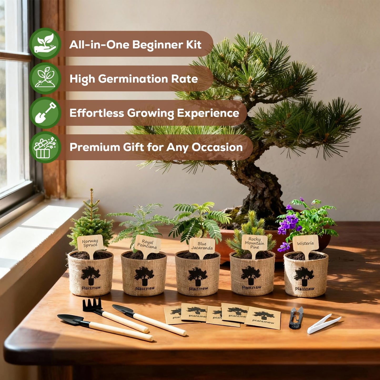Crafts for Adults - Bonsai Tree Starter Kit with 5 Unique Japanese Trees | Complete DIY Gardening Kit for Birthday | Gifts for Women, Men, Mom, Dad, Plant Lovers