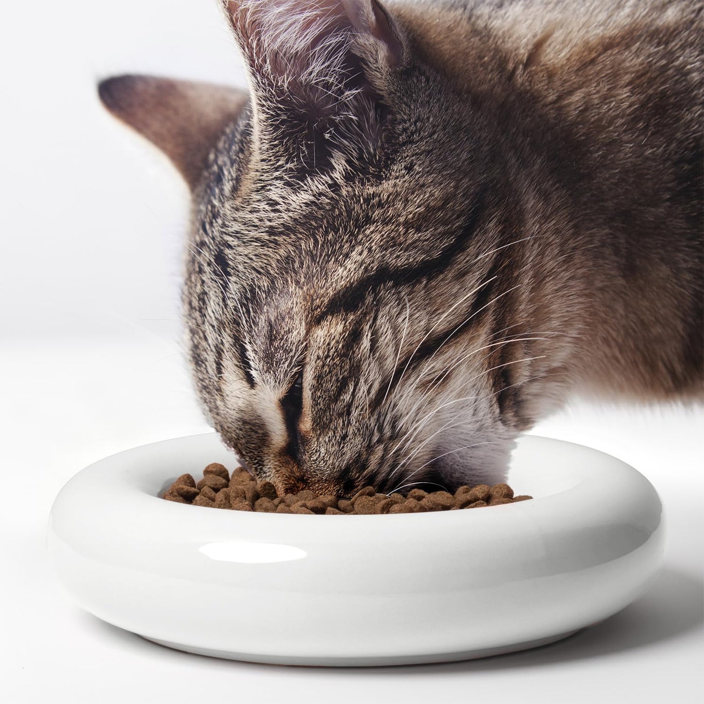 CatGuru Ceramic Cat Food Bowl (Torus, Set of Two, White)