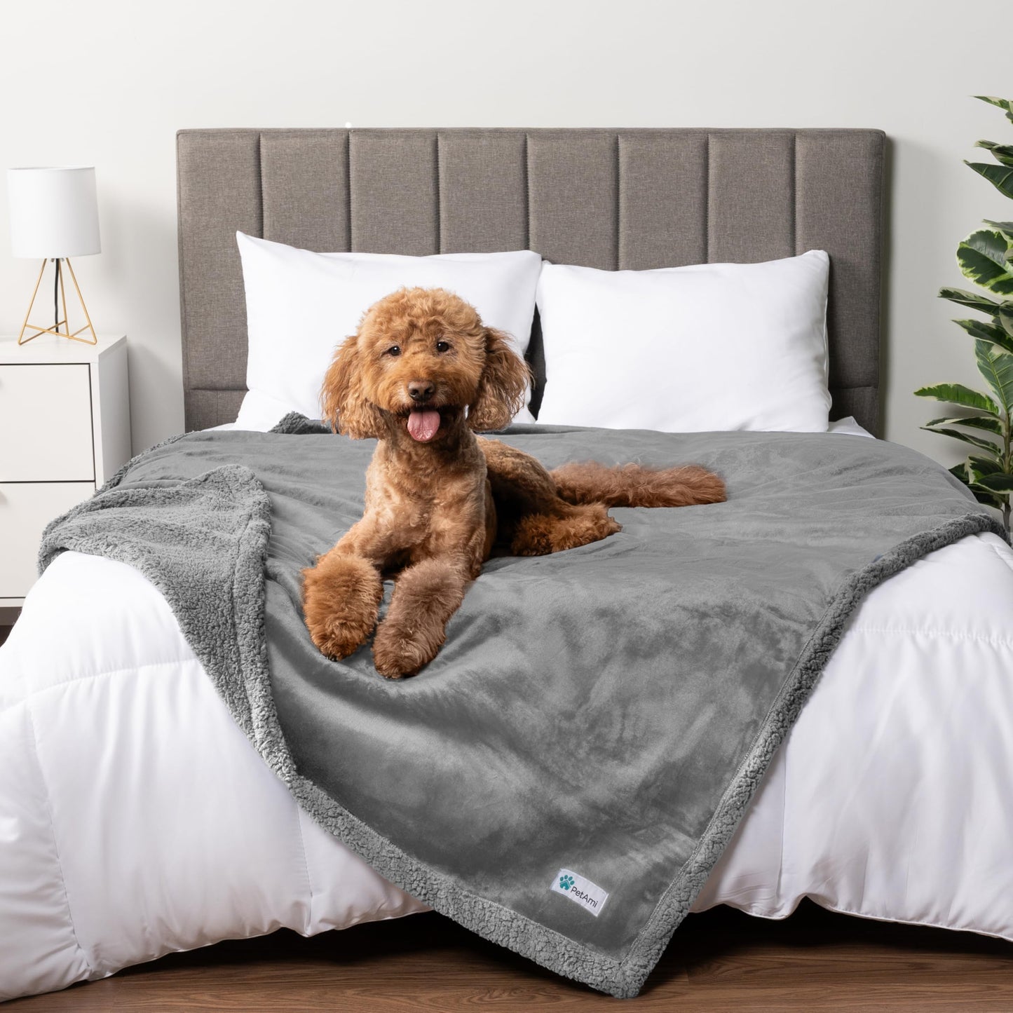 PetAmi Waterproof Dog Blanket for Medium Large XL Dog Puppy Cat Throw for Couch Cover Leakproof Protection, Sherpa Fleece, Reversible Soft Washable 80x60 Light Gray