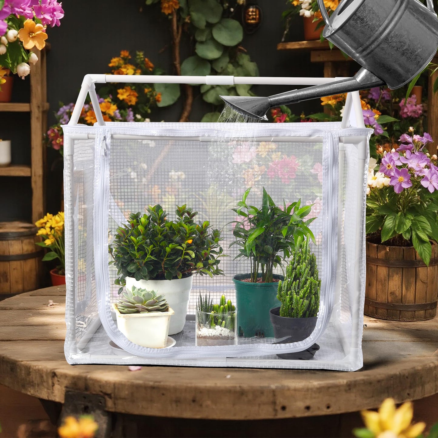 Fully Enclosed Mini Greenhouse Indoor, Small Indoor Greenhouse with Top Opening, Waterproof mini Green House 23.6" x 15.7" x 23.6" for Garden Small Plants, Succulent, Seedlings