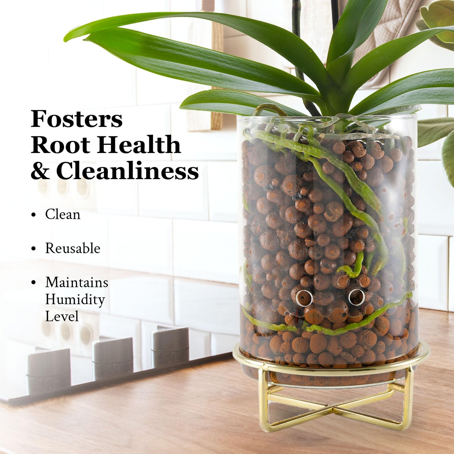 Pot & Pebble - C9 Glass Planter with Decorative Metal Base - Plant Propagation Station with Water Level Control - Plant Cutting Holder for LECA Clay Pebbles/Similar Media - Semi Hydroponic Planter