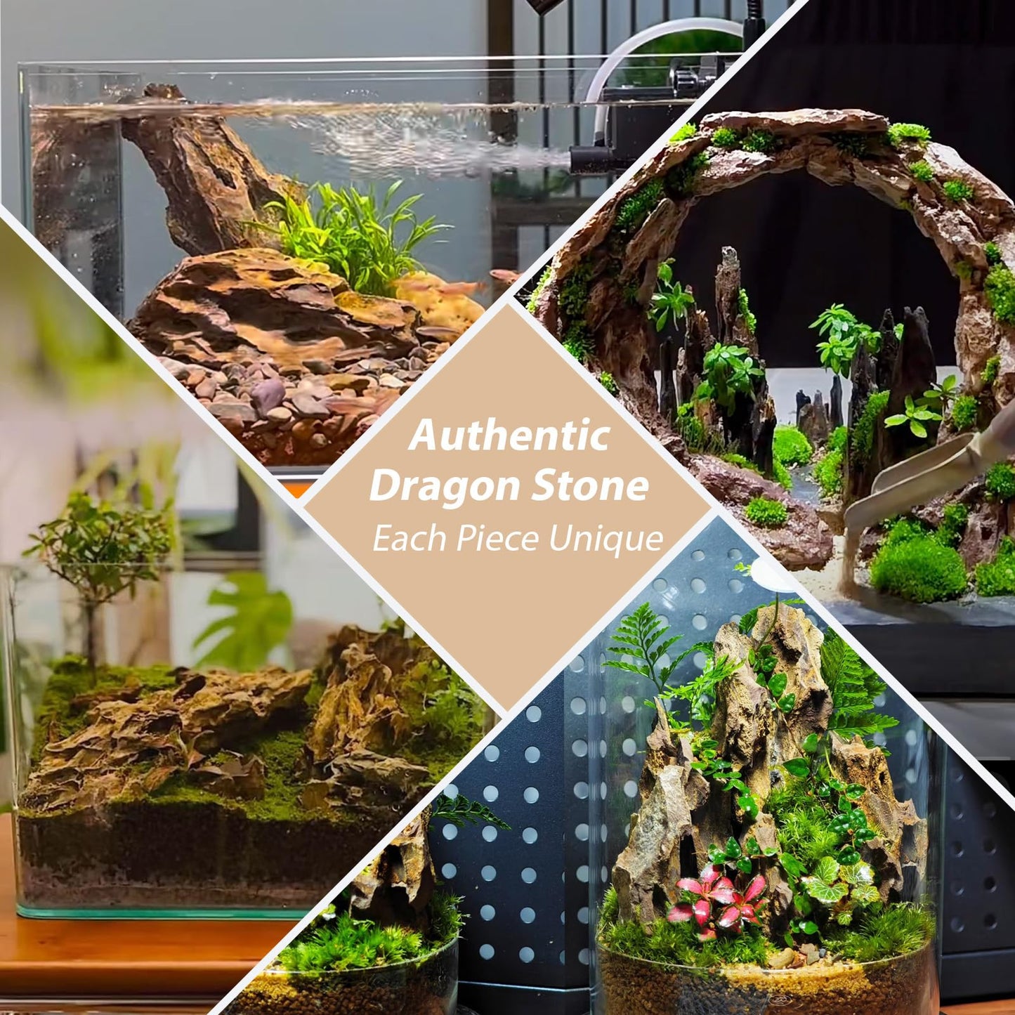 ChaoLeHo Dragon Rocks Aquariums Stones Natural Rocks for Aquascaping, Aquariums, Terrariums, Vivariums Decorative Stone,Reptile Enclosures,Paludariums,and Gardens-10LB（2 to 7 inch）
