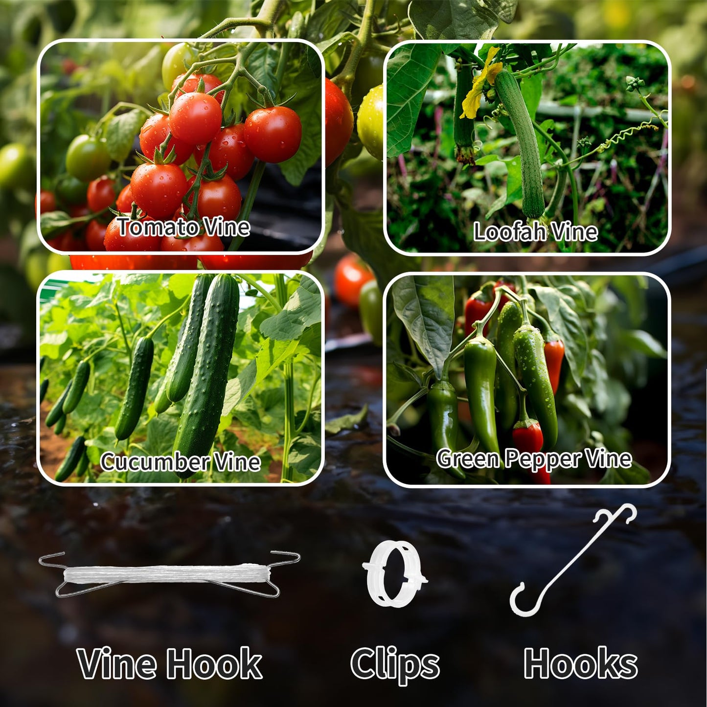 190pcs Tomato Hooks with String with Tomato Plant Support Clips, J-Hook, Tomato Holder Hooks with 33.3ft Tomato Twine for Climbing Plants Tomato Cucumber Cherry Vegetable