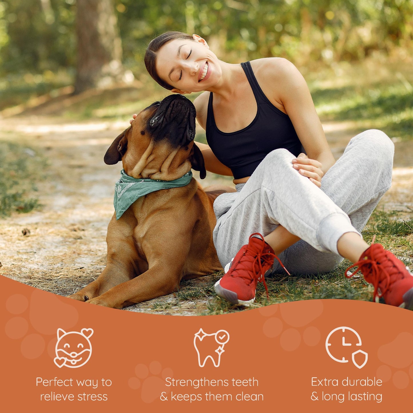 Wildfang® Tree Heather Root for Dogs, L – Splinter-Free Chewing Root, Natural Wood Chew Toy for Aggressive Chewers, Odourless Dog Chew Toy for Healthy Teeth & Gums (for Dogs 25–45 kg), Pack of 3