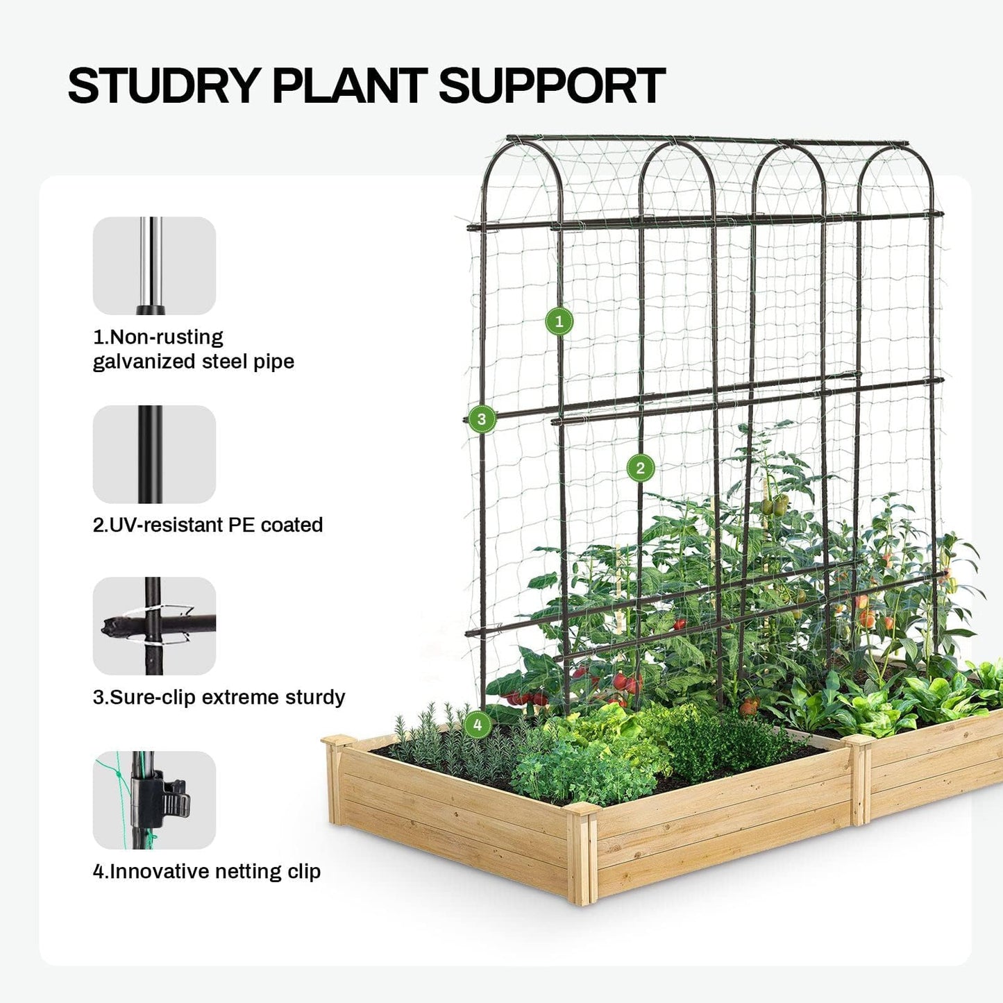 6ft x 6 ft Cucumber Trellis, Metal Garden Arch Trellis for Climbing Plants Outdoor Support Fruits Grape Flowers Vines Vegetables Squash Pea Bea Cucumber Trellis Raised Bed, with Netting