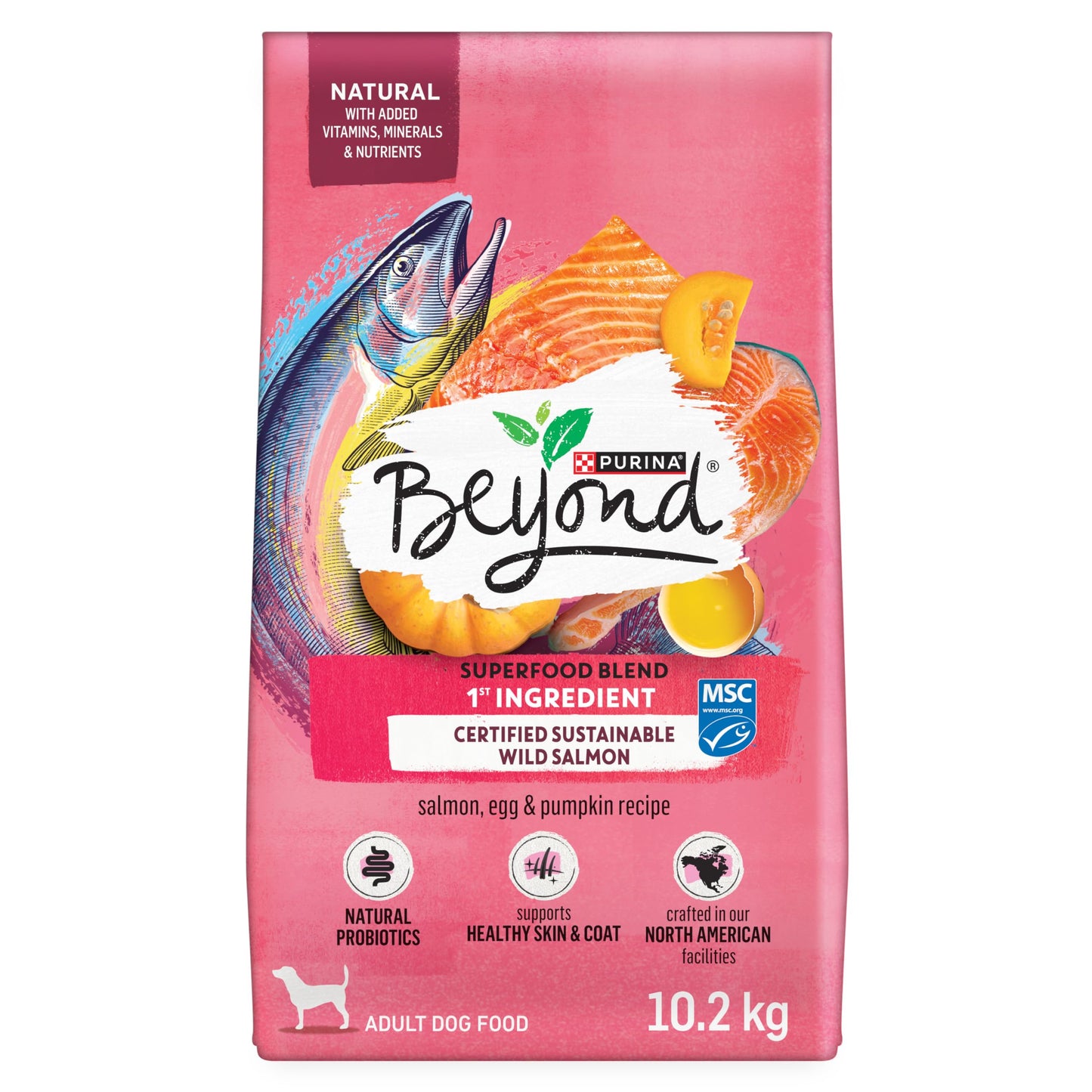 Beyond Superfood Blend Natural Dry Dog Food, Wild Caught Salmon, Egg & Pumpkin - 10.2 kg Bag