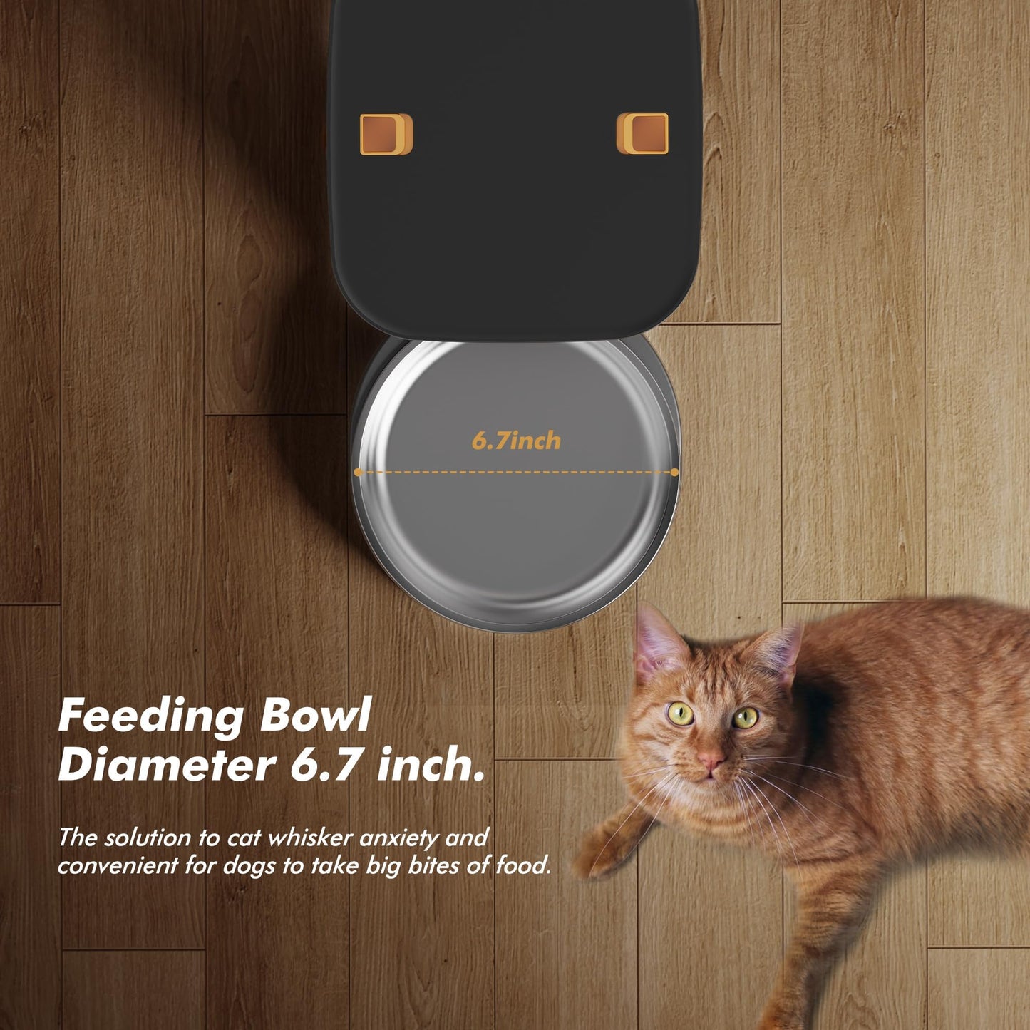 Automatic Cat Feeder - 8L/34 Cups Automatic Dog Feeder Timed Food Dispenser, Up to 50 Portions 6 Meals Per Day, Large Stainless Steel Food Bowl, Dual Power Supply (Black, One Bowl-Standard)
