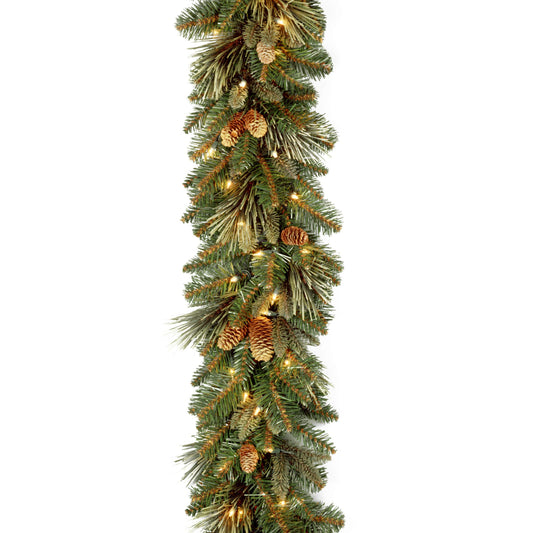 National Tree Company 9 ft Pre-Lit Carolina Pine Artificial Christmas Garland, Christmas Decoration with Pinecones, 100 Clear LED Lights, 240 Tips, Timer, Green