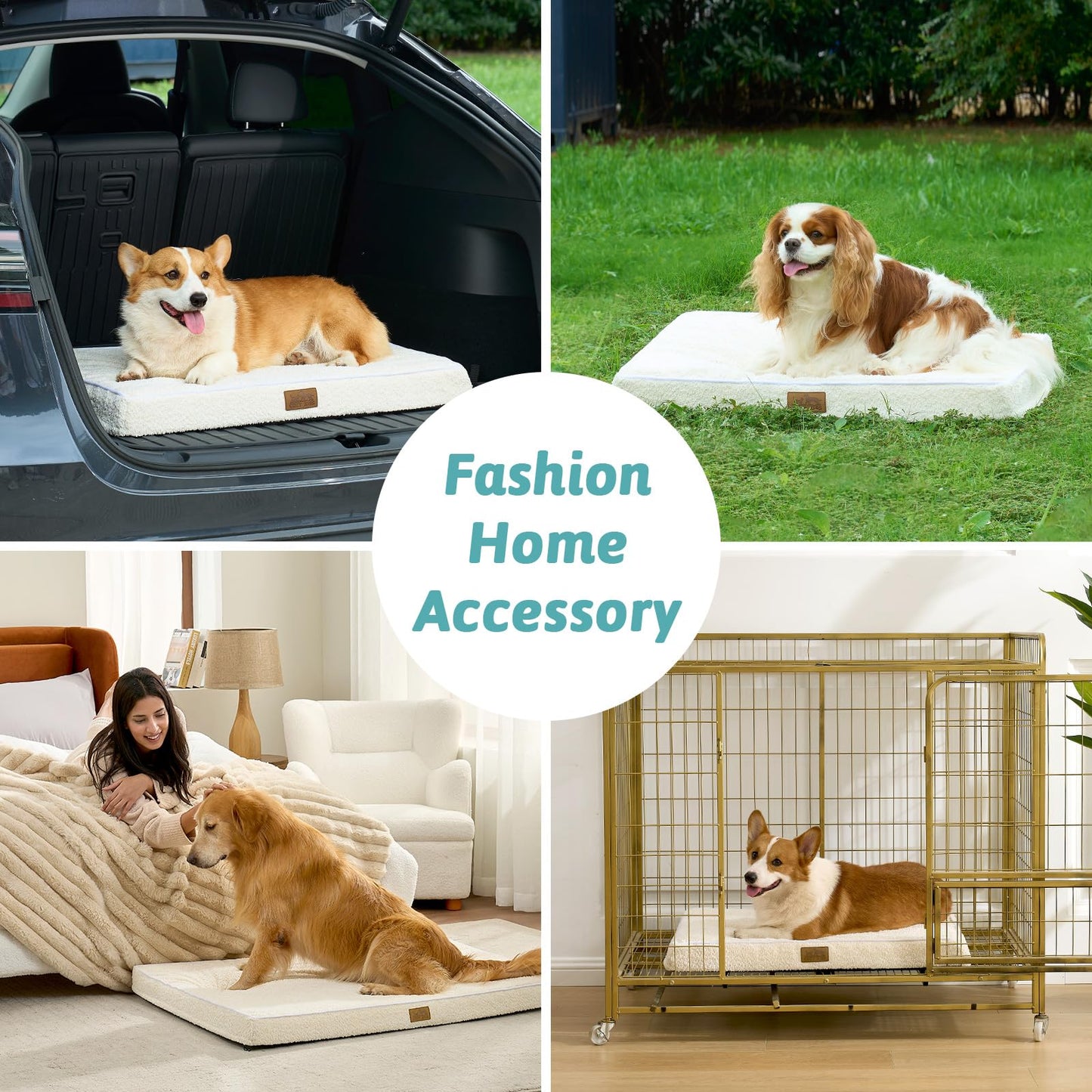 COZY KISS Big Dog Bed for Giant Dogs, Rectangular XXL Orthopedic Dog Beds Extra Large, Foam Anti-Slip Bottom Pet Mat with Washable Removable Cover, Suitable for Pet Up to 150 lbs, 54x44x4 inch, Beige