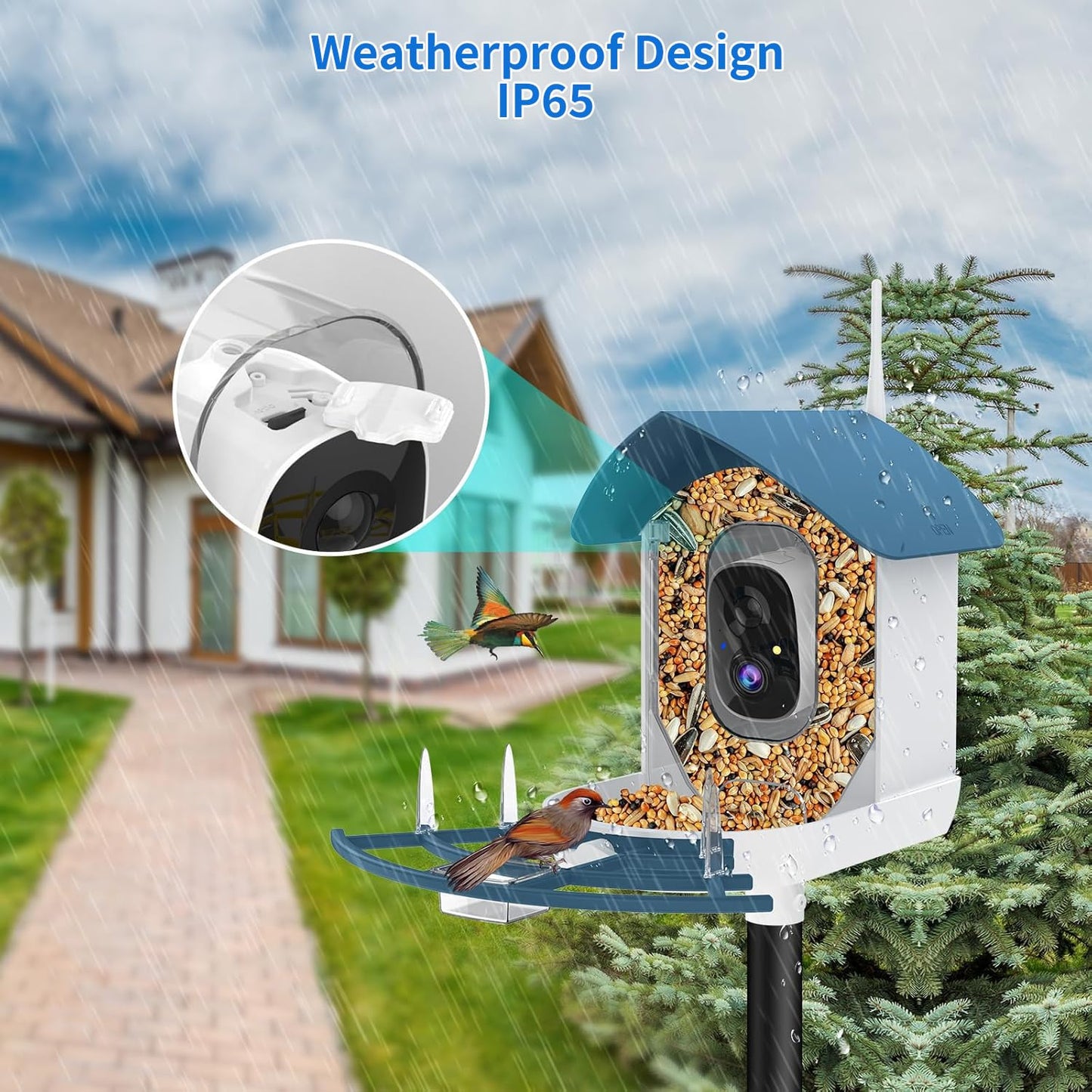 Bird Feeder with Camera,AI Identify Birds Species,Smart Bird Camera with Solar Powered,Auto Record FHD Bird Video in Backyard,Lawn,Instant Notifications,Ideal Gift for Family and Bird Lovers,Navy Blue
