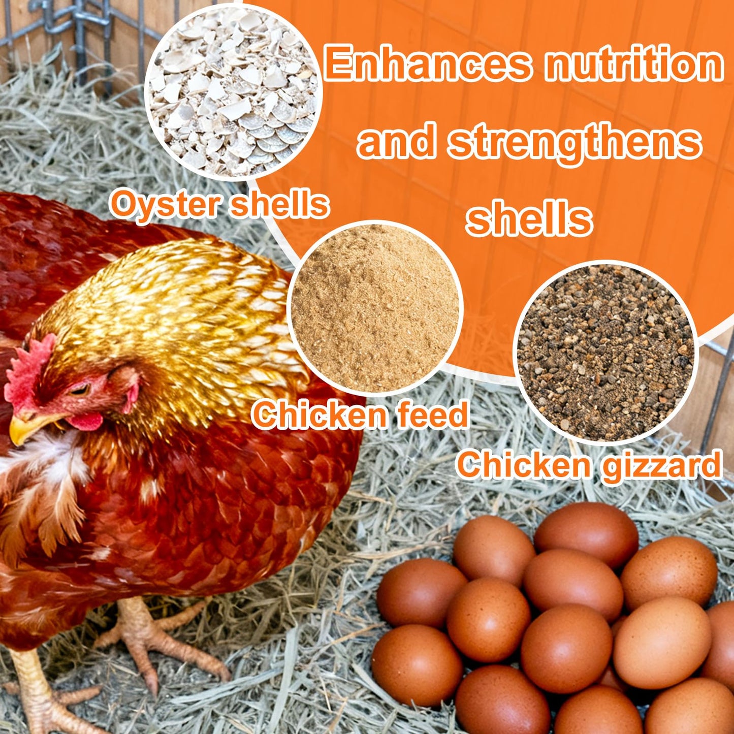 2pcs Chicken Oyster Shell & Grit Feeder, Metal Hanging Poultry Feeder Trough for Hens Durable Chicken Coop Accessories (Black & Red)