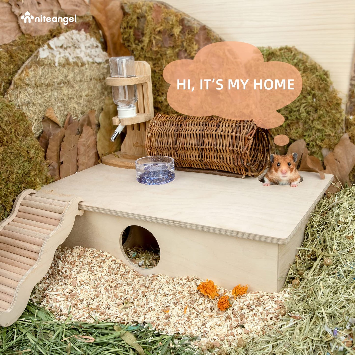 Niteangel Multi-Chamber Hamster House Maze - Multi-Room Hideouts & Tunnel Exploring Toys for Hamster Gerbils Mice Lemmings (6-Room Large)