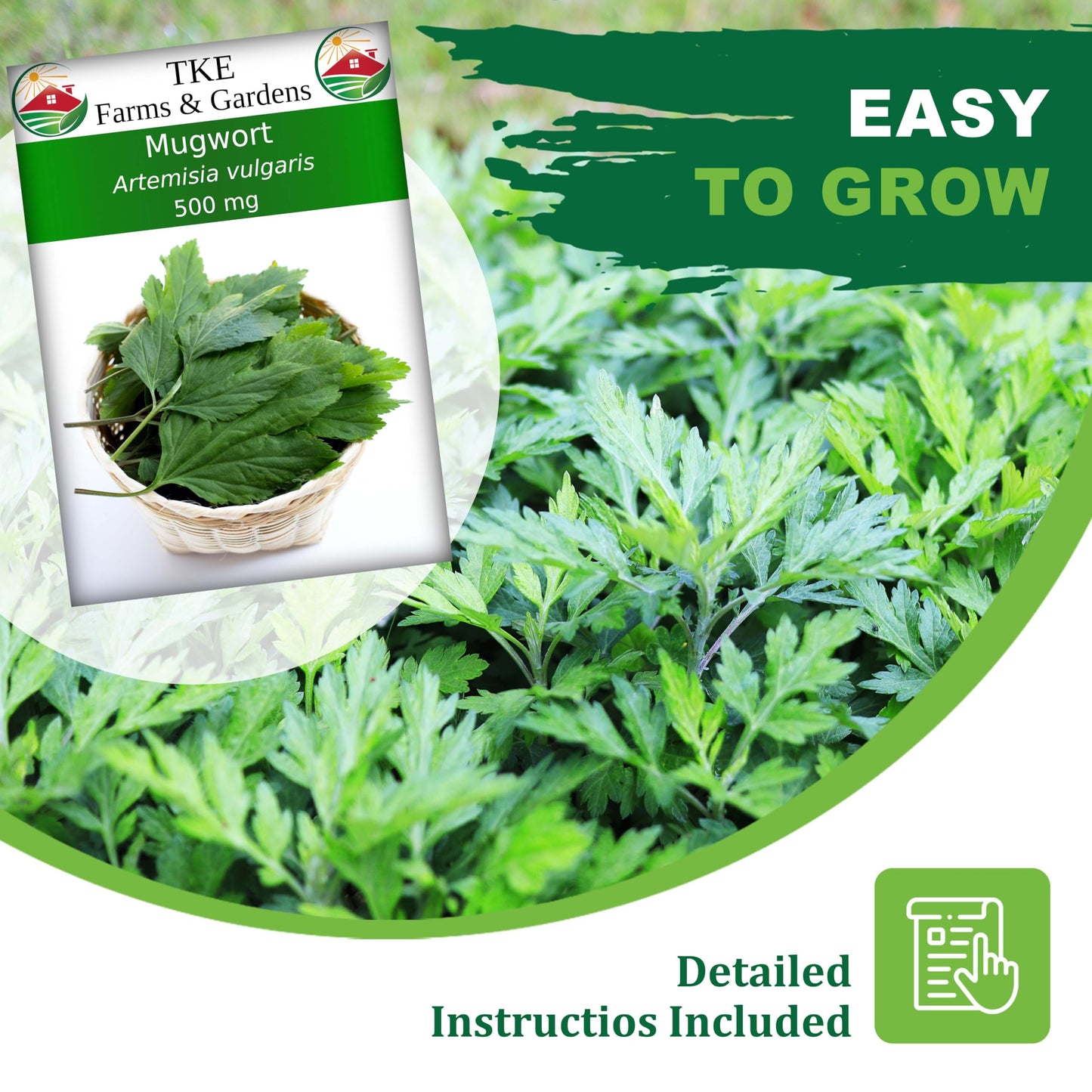 TKE Farms & Gardens - Mugwort Seeds for Planting, 500 mg Packet, 4000+ Non-GMO Heirloom Medicinal Herb Seeds, High Germination Rate, Fast-Growing Perennial Herb, Includes Easy Planting Instructions