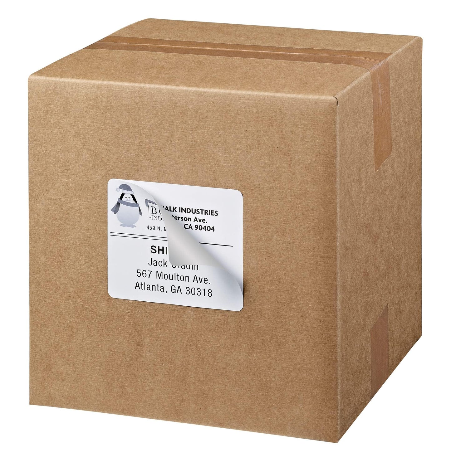 TrueBlock(R) Shipping Labels with Sure Feed(TM), 600/BX