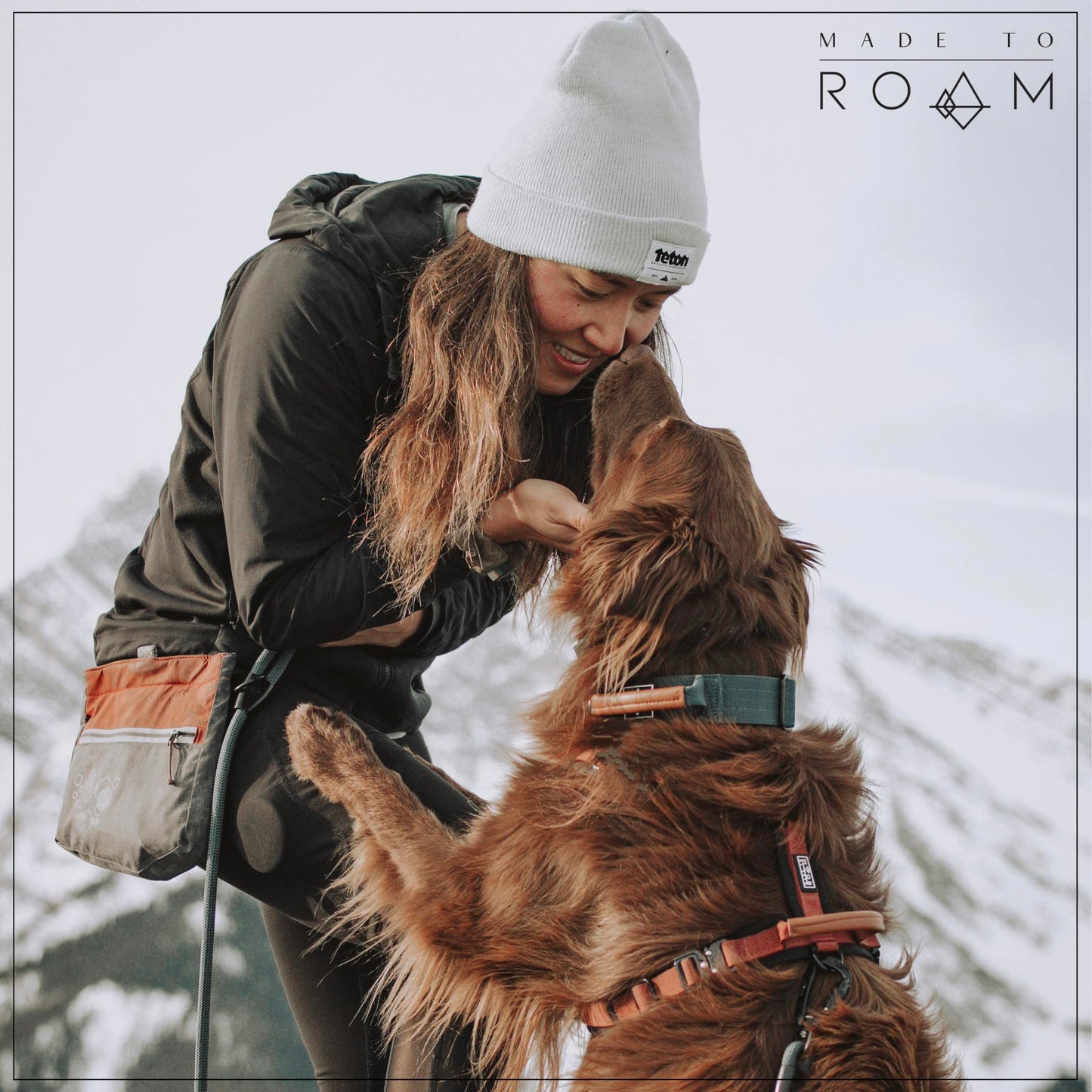 MADE TO ROAM Premium Everyday Leash - Ultra Soft Dog Leash with Aviation Aluminum Carabiner for Small, Medium, Large Dogs - California Horizon, 6ft (Rubber Coated Metal Clamps)