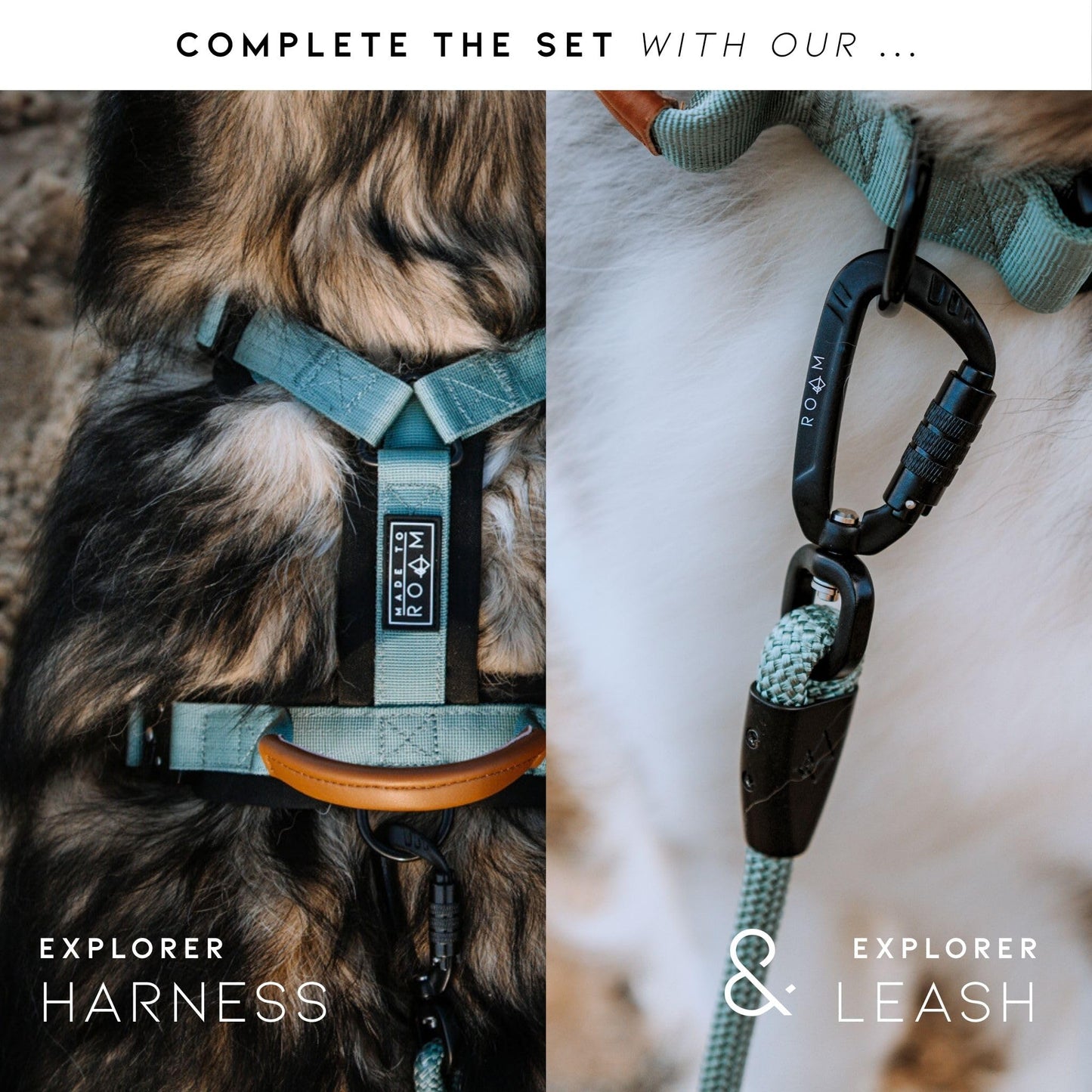 Made to ROAM Premium Dog Collar - Adjustable Heavy Duty Nylon Collar with Quick-Release Metal Buckle (Arizona Heartbeat, Classic Size 4)