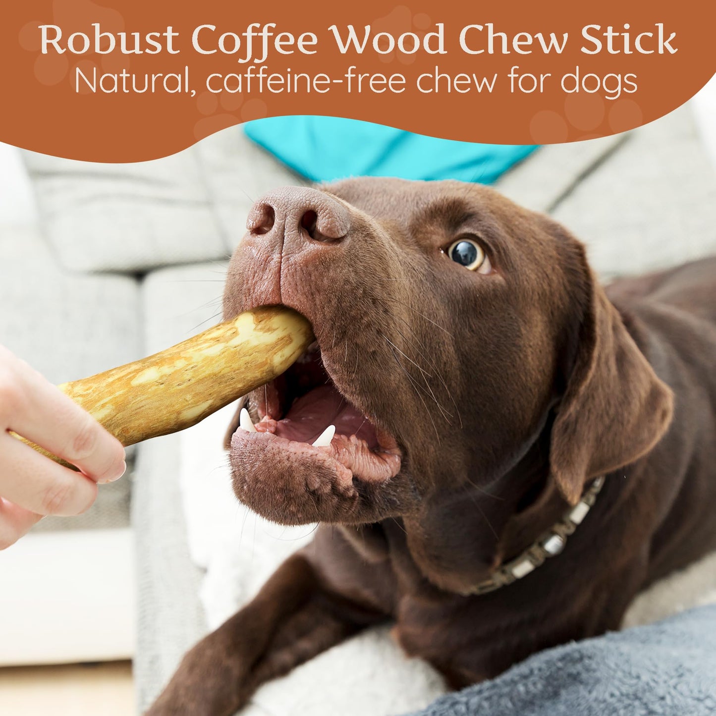Wildfang® Coffee Wood Dog Chew, L – Durable Chew Toy for Aggressive Chewers, Puppy Teething Toy, Helps Strengthen Chewing Muscles, Coffee Tree Stick for Large Dogs 25–45 kg (Pack of 3)