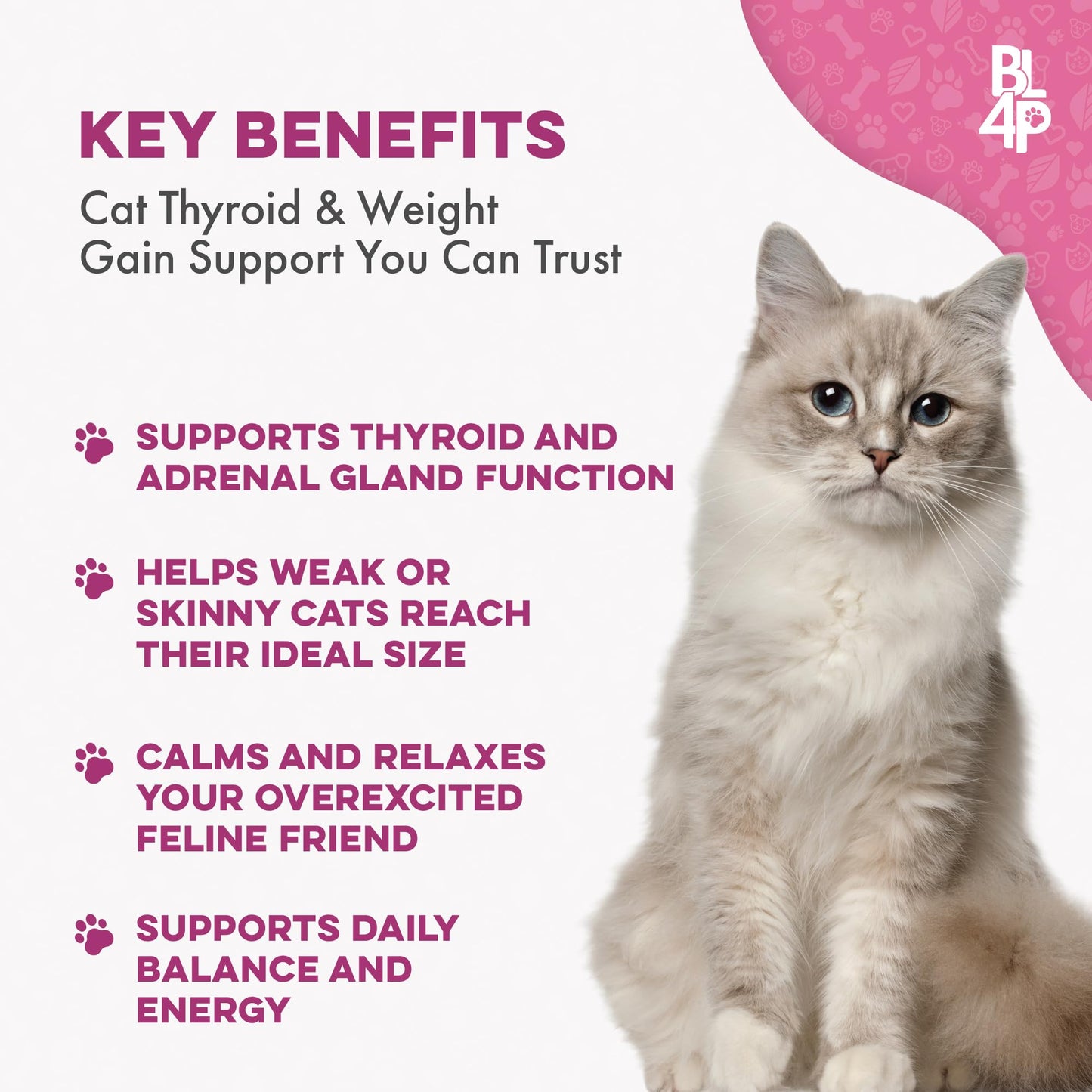 Cat Weight Gain & Hyperthyroidism Treatment, Safe and Effective Cat Appetite Stimulant, Thyroid and Metabolic Support, Weight Management Remedy, 400 All-Natural Odorless, Tasteless Pills
