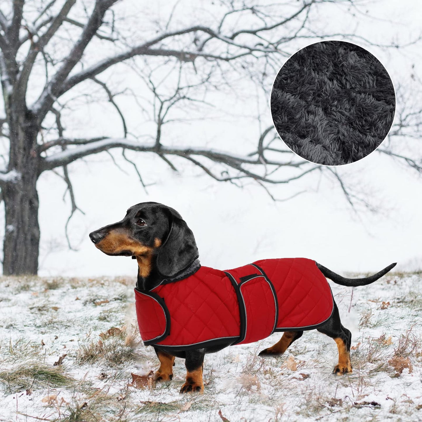 Geyecete Warm Thermal Quilted Dachshund Coat, Dog Winter Coat with Warm Fleece Lining, Outdoor Dog Apparel with Adjustable Bands for Medium, Large Dog-Red-XS