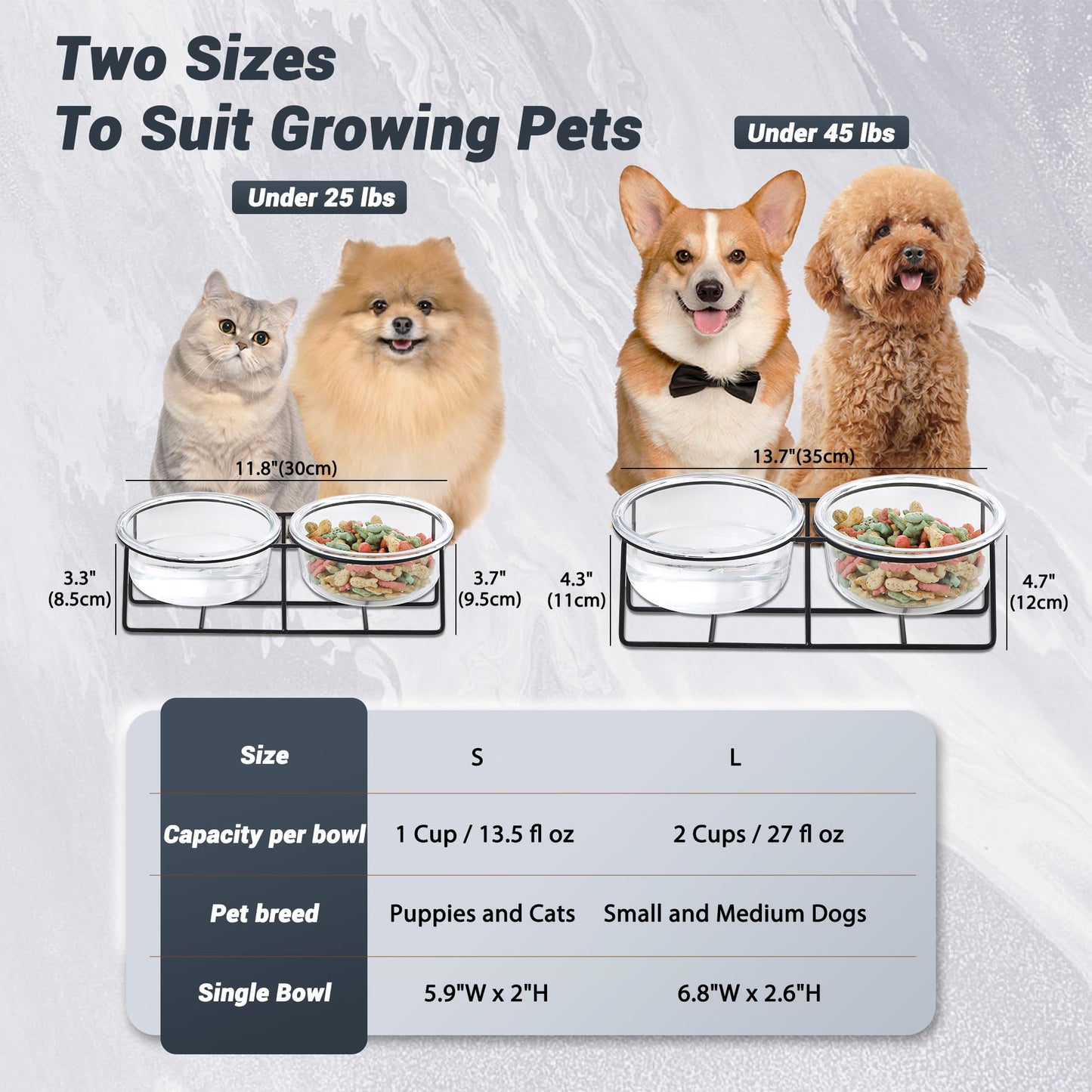 Glass Elevated Dog Bowl Set - Raised Food and Water Bowls with Metal Stand - Pet Dishes for Small and Medium Dogs - 2 Cups (27 fl oz) Each - Transparent