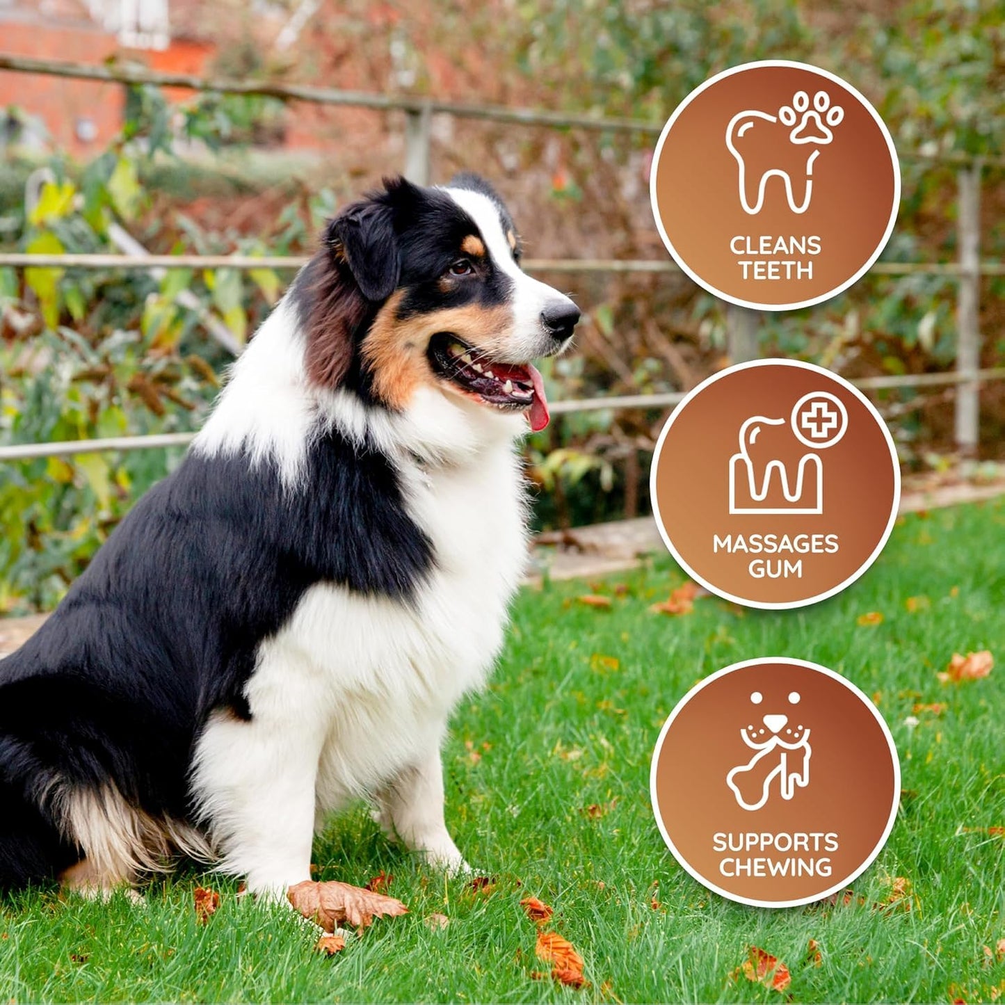 Wildfang® Leather Dog Toy, Large – Leather Bone for Teething Dogs, Dental Toys for Puppies, Training for Chewing Muscles, Puppy Chew Bones for Light or Medium Chewers (for Dogs Over 15 kg), Pack of 3