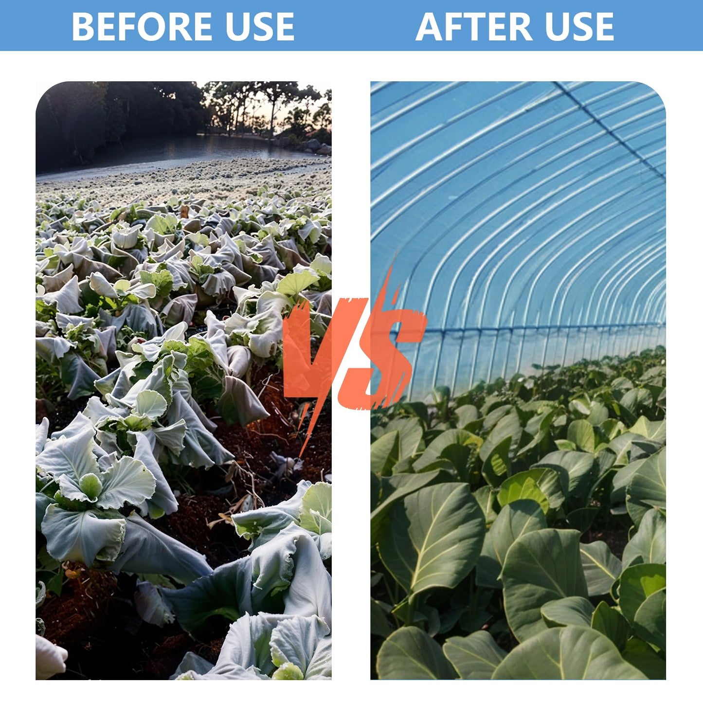 Clear Greenhouse Film Plastic Sheeting, 10 x 33 FT 6 Mil High Strength Polyolefin Greenhouse Plastic Covers, Clear and Dustproof Plastic Sheeting for Outdoors Like Farm, Agriculture