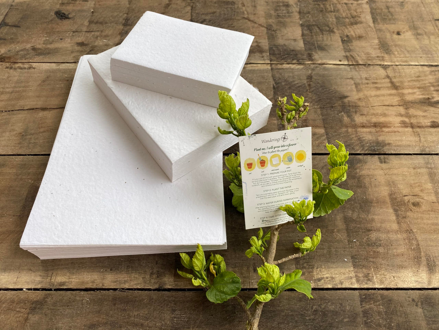 Wanderings Handmade Flower Seed Paper – 8.3" x 11.8" / A4 Size – Pack of 50 – Plantable Wildflower Seed Paper for Invitations, Sketching & Watercolour – 250 GSM Deckled Edge