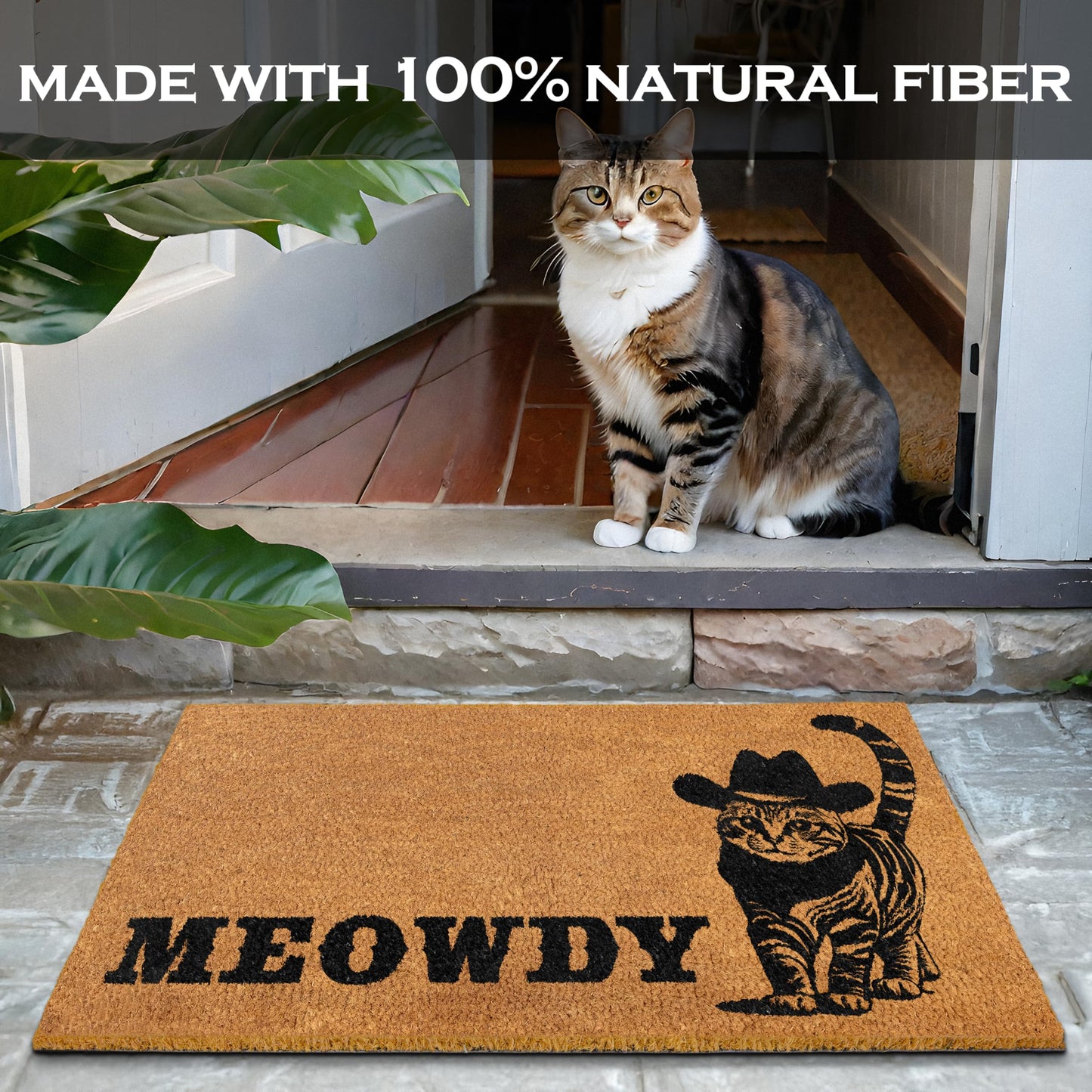 Meowdy Doormat 30x17 Inch, Cat Front Door Mat for Covered Area, Black Cat Welcome Mats for Front Door Gift, Coir Doormat