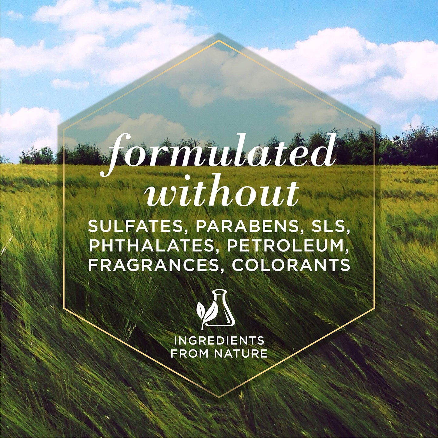 Burt's Bees FFP7488AMZ3 for Dogs Multipurpose Grooming Wipes, Pack of 3 | Best Wet Grooming Wipes for All Dogs and Puppies