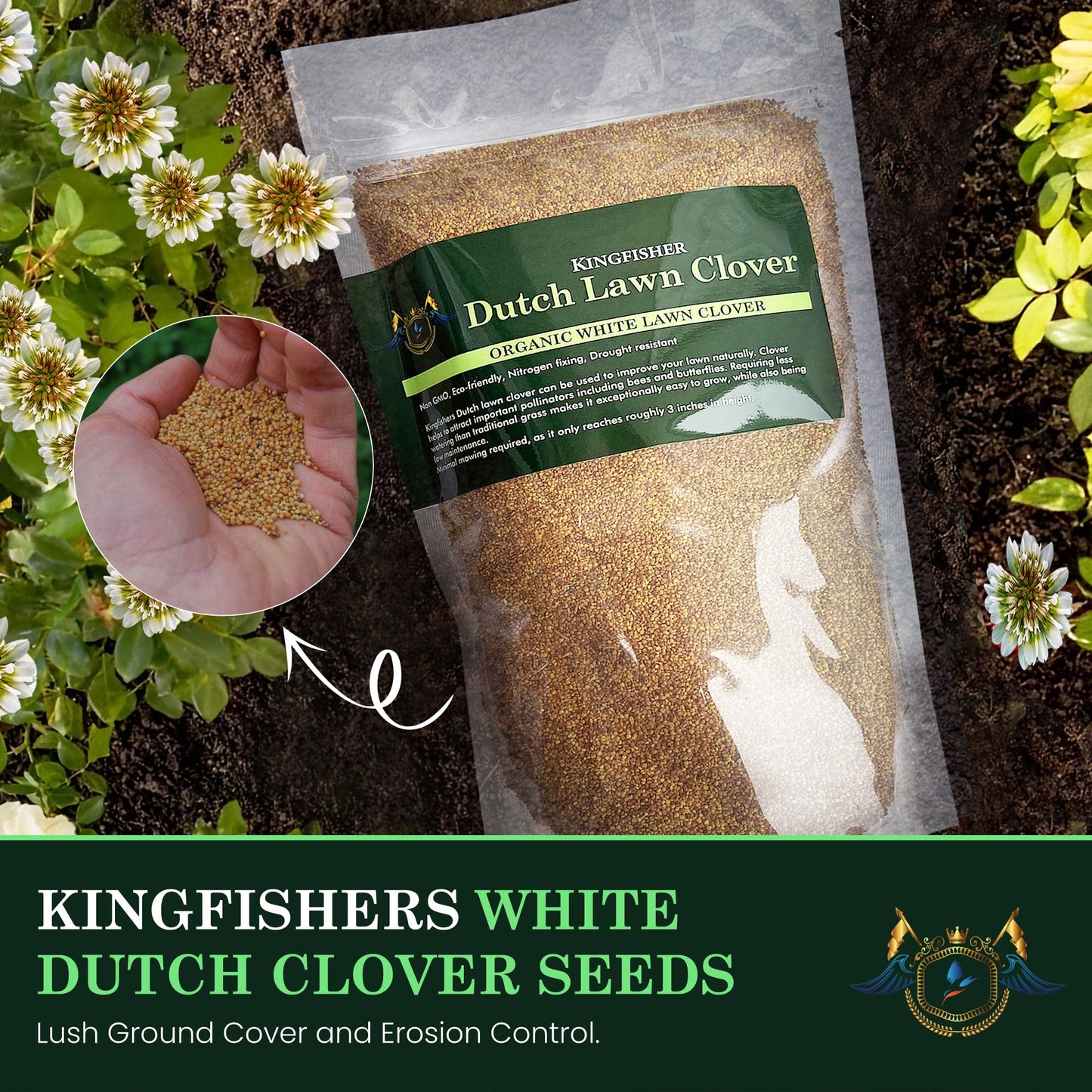 1 Pound Dutch Lawn Clover Seed | Made in Canada | Seed for Canadian Lawns | Non GmoSeeds | White Flower Seeds | Perrenial Lawn Clover | Trefle Blanc | Micro Grass Seed