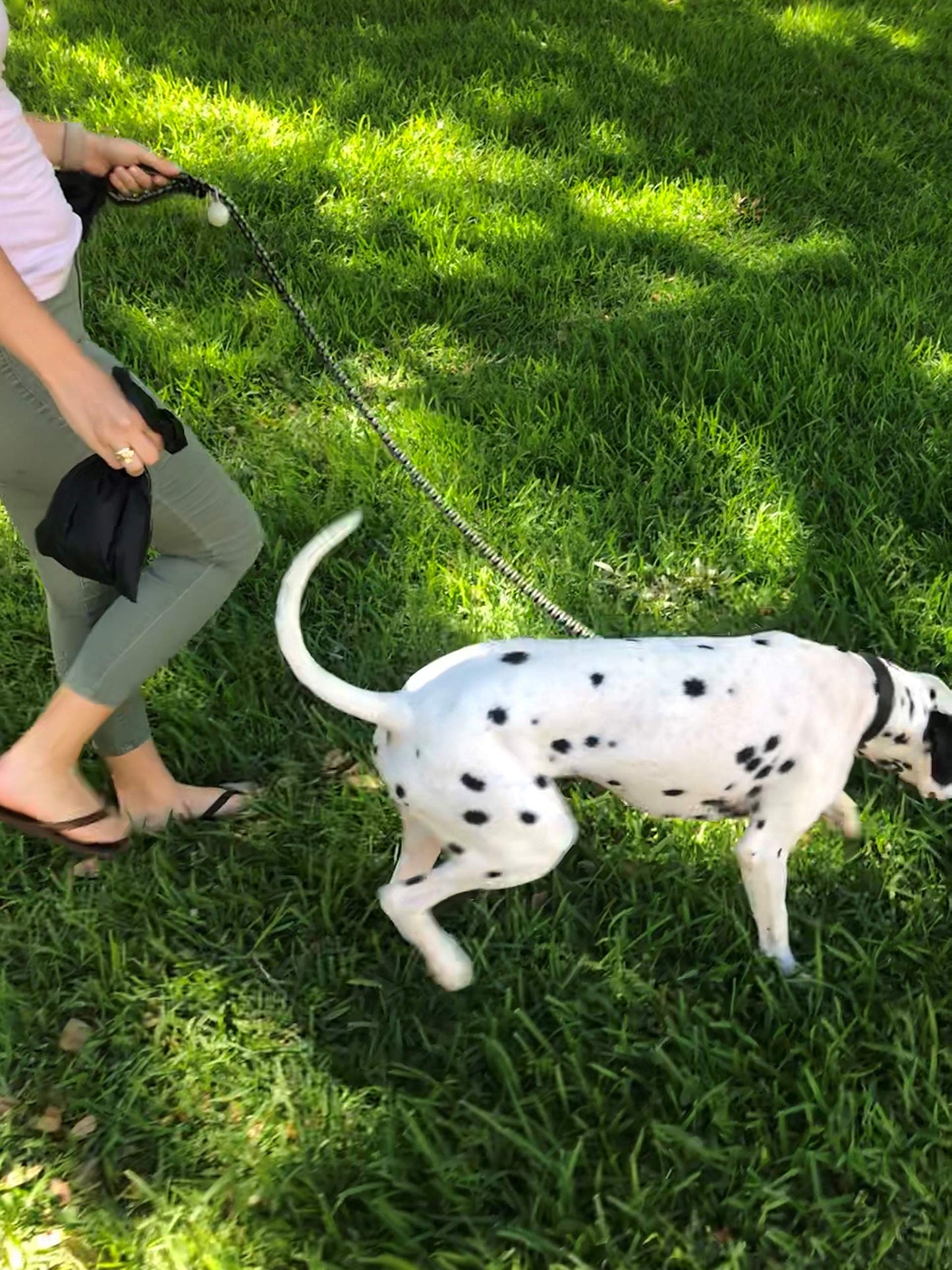 Bio Bag Premium Pet Waste Bags, Standard Size, 200 Count