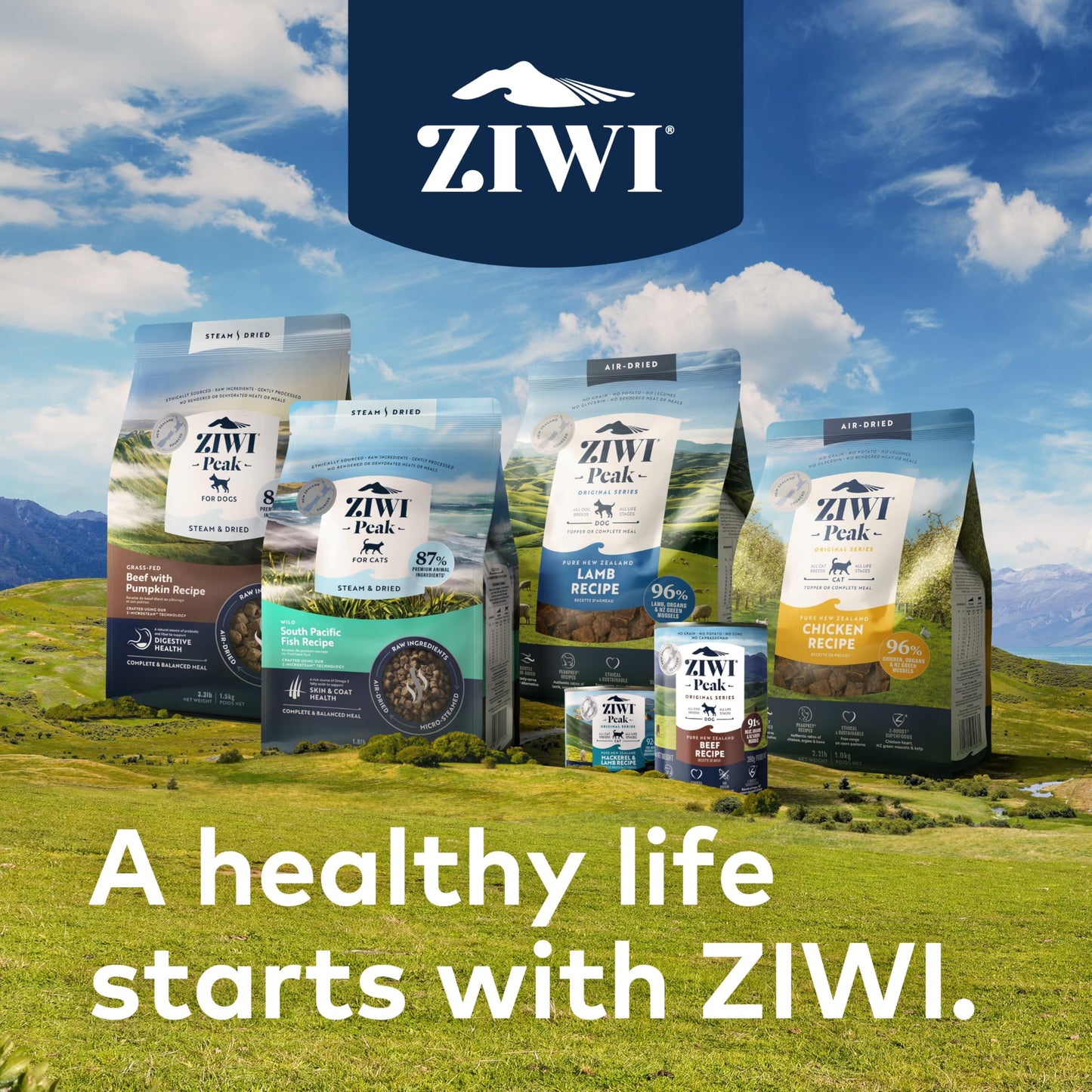 ZIWI Peak Canned Wet Dog Food – All Natural, High Protein, Grain Free, Limited Ingredient, with Superfoods (Chicken, Case of 12, 170 g Cans)