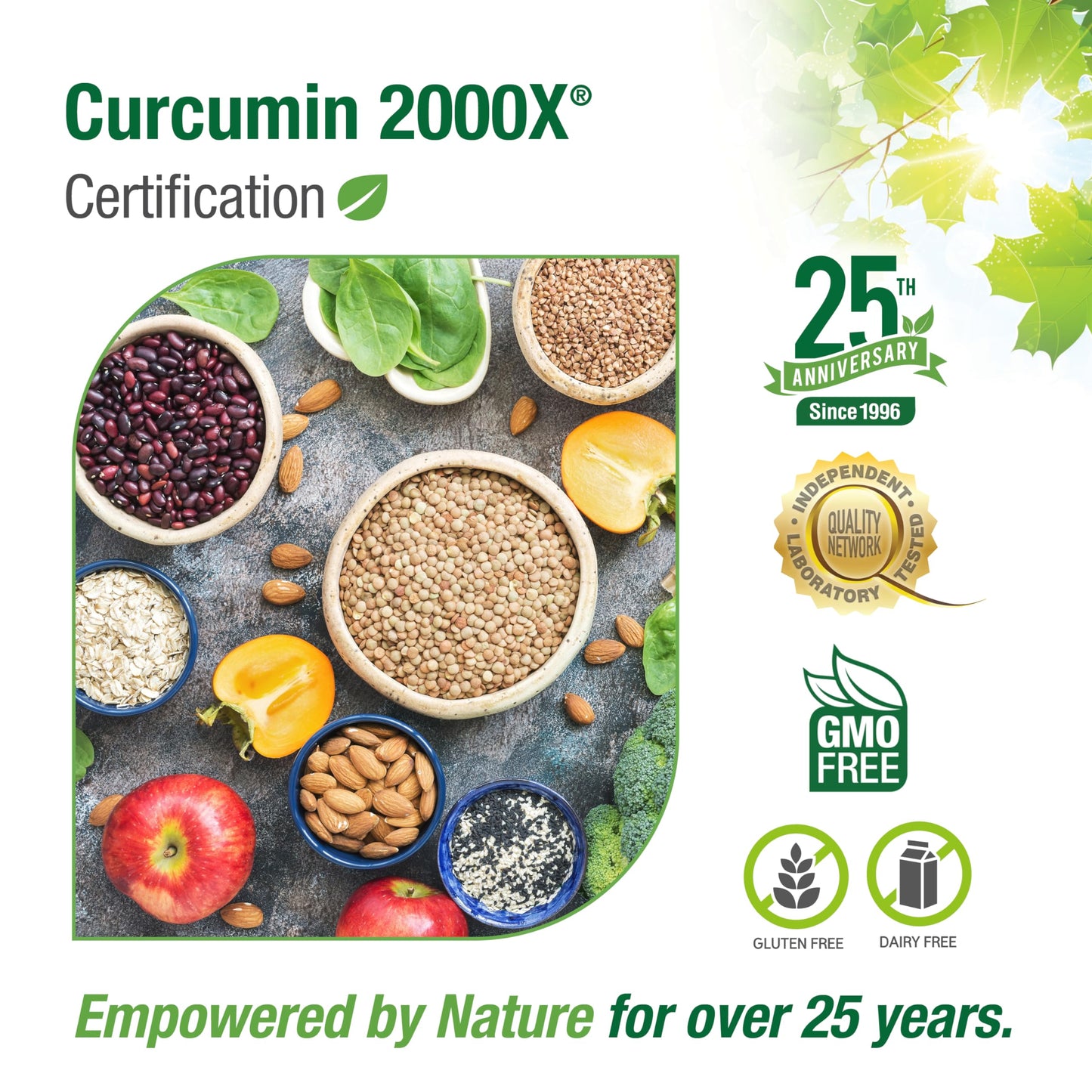 Bell Curcumin Supplements, Curcumin 2000X® - Proprietary Blend with Turmeric, Black Pepper, Vitamin E, Hawthorn- Help Support Digestion, Inflammation, Cardiovascular Health & Peripheral -90 units